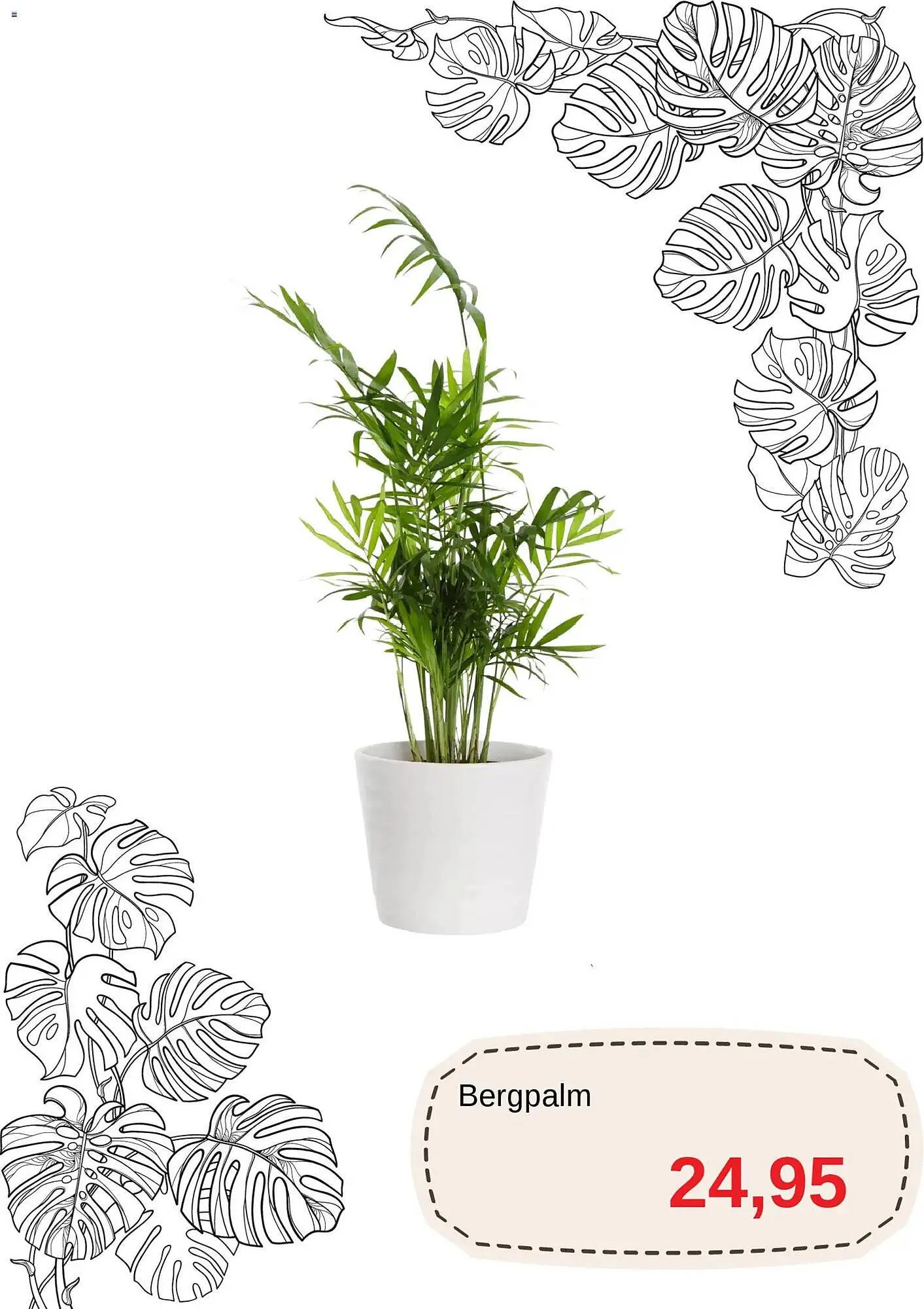 Blomsterlandet reklamblad från 1 november till 16 november 2025 - Reklamblad sidor 9