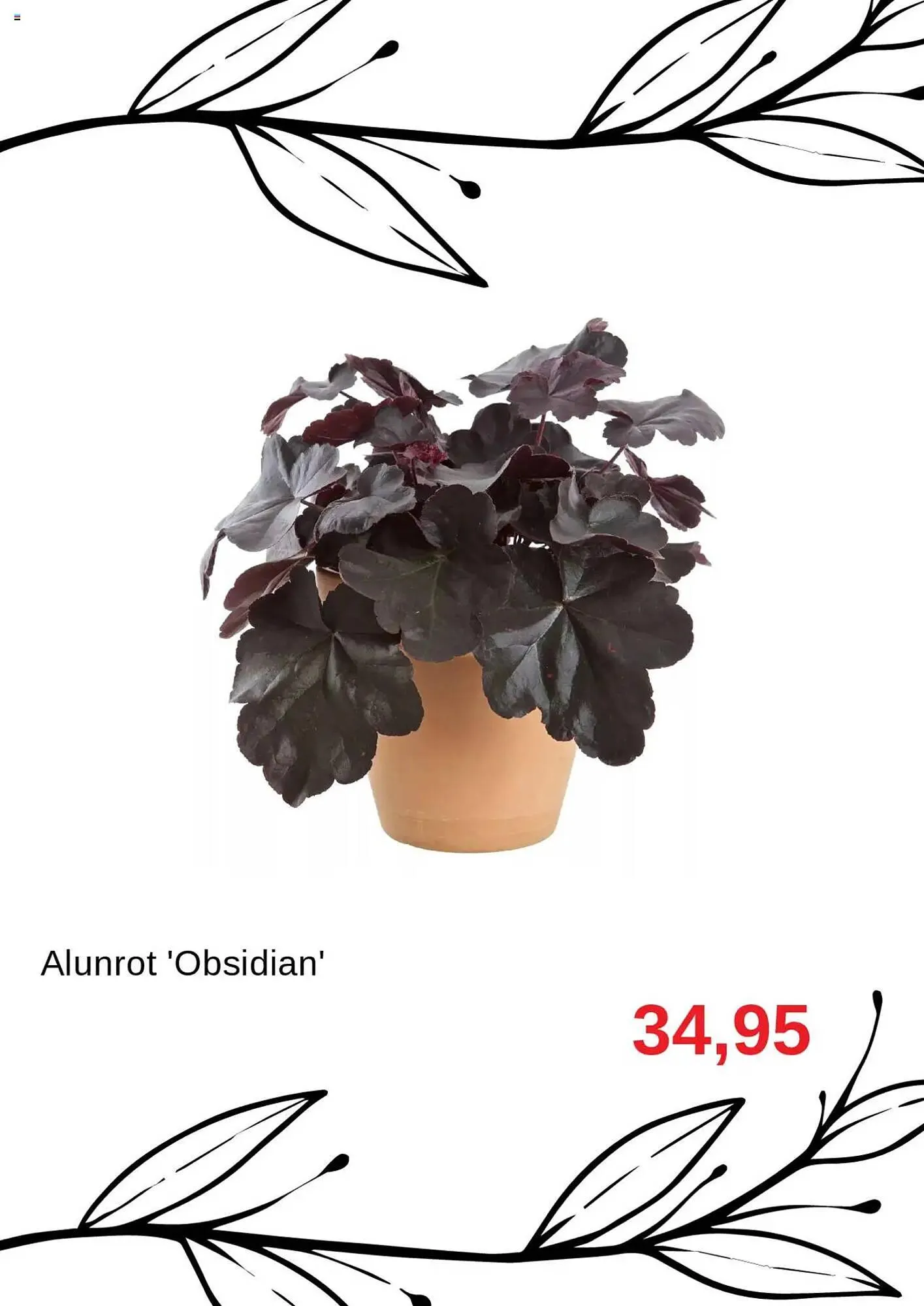 Blomsterlandet reklamblad från 1 oktober till 2 november 2025 - Reklamblad sidor 8