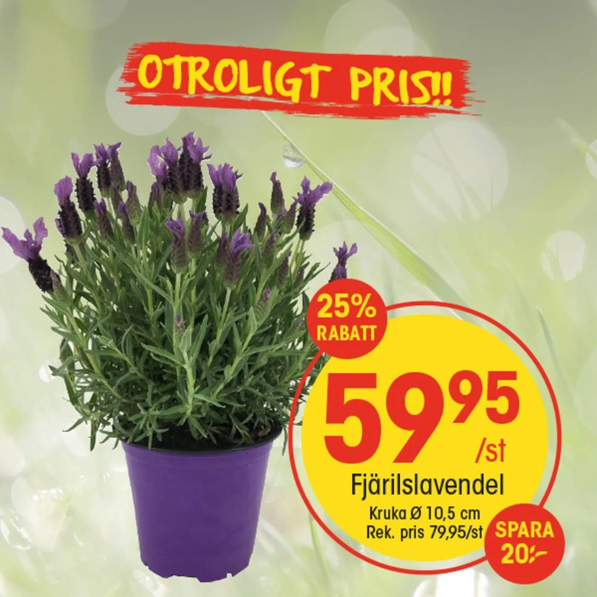 EKO reklamblad från 11 maj till 17 maj 2025 - Reklamblad sidor 5