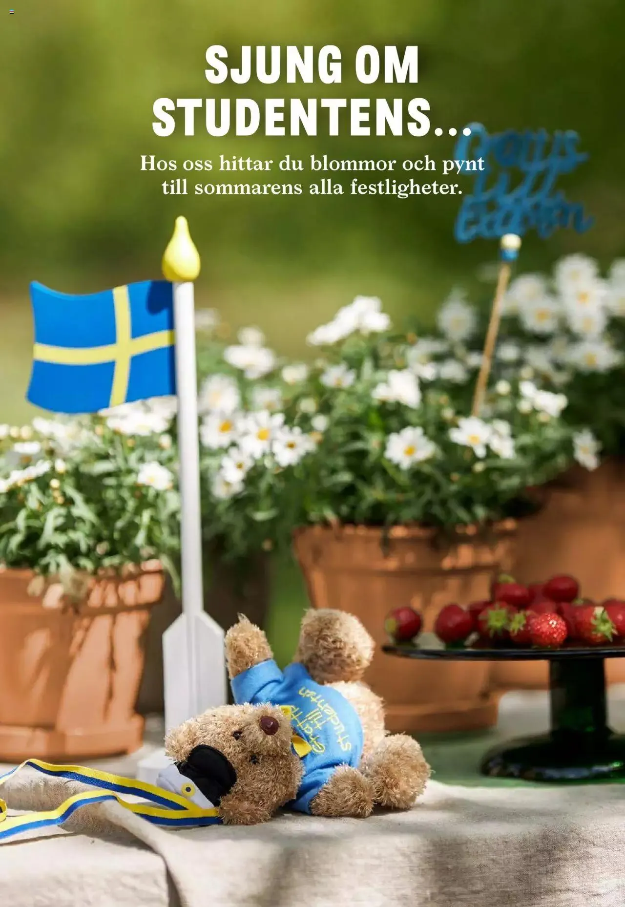 Blomsterlandet - erbjudanden från 27 maj till 2 juni 2024 - Reklamblad sidor 5