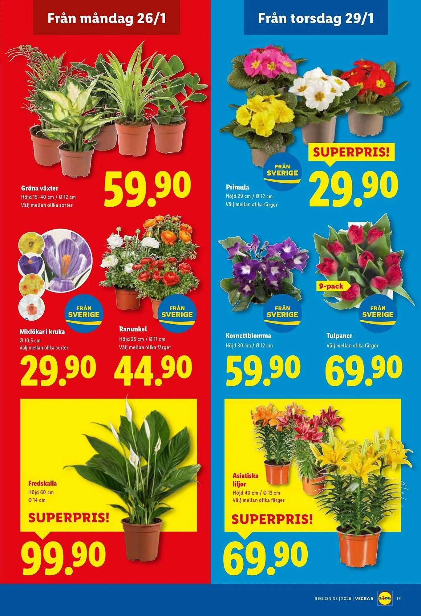 Lidl reklamblad från 26 januari till 1 februari 2026 - Reklamblad sidor 20