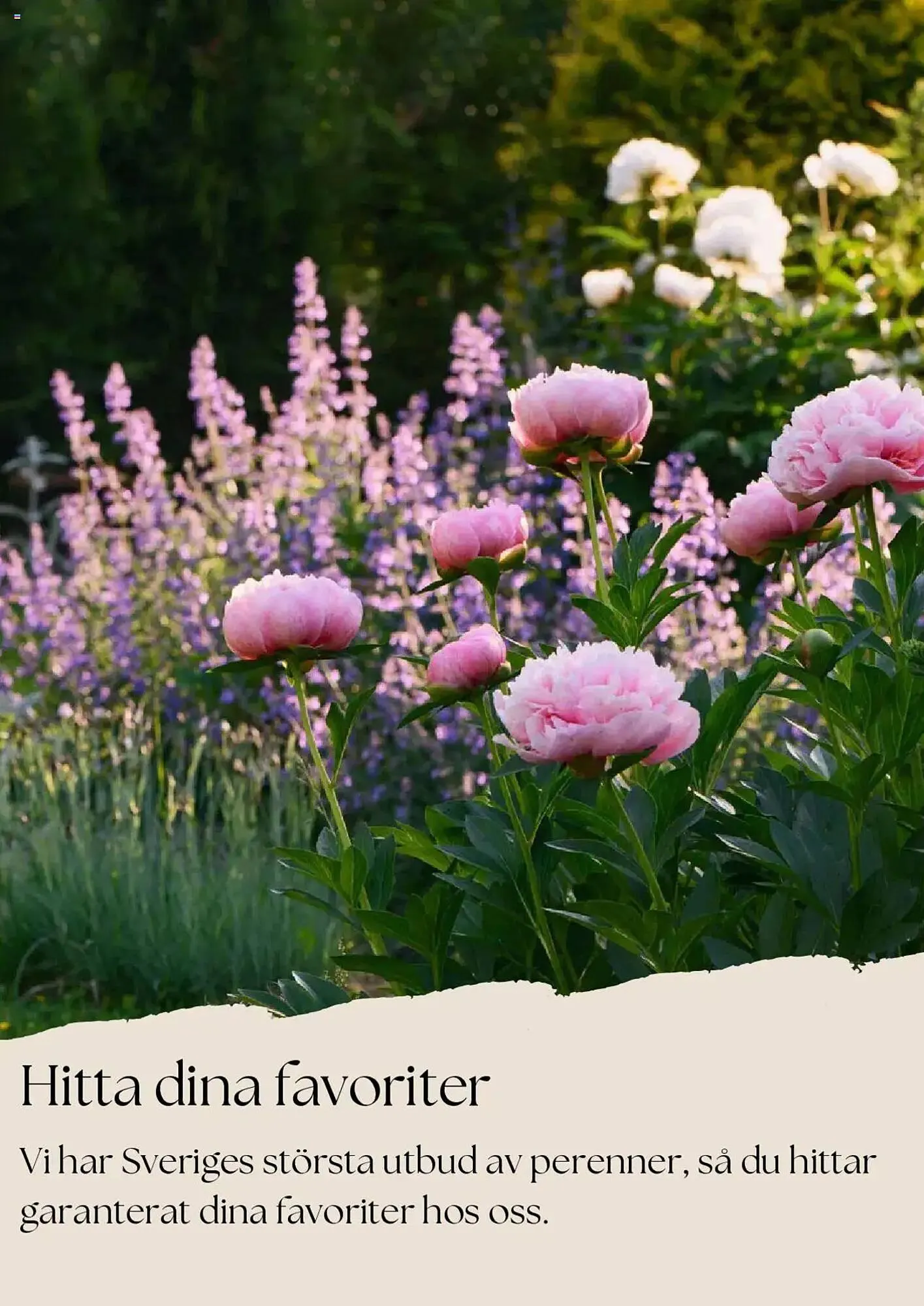 Plantagen reklamblad från 1 juni till 30 juni 2025 - Reklamblad sidor 2