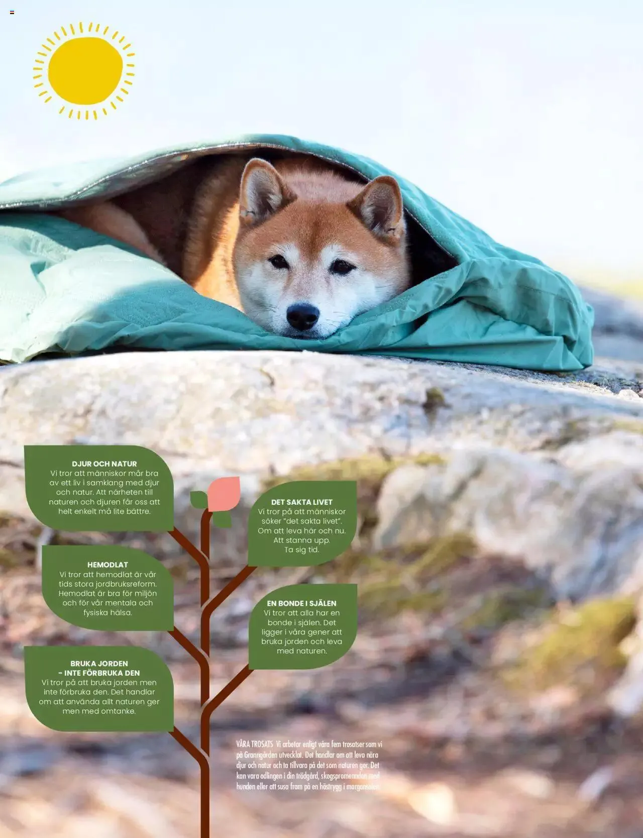 Granngården - erbjudanden från 17 april till 31 december 2023 - Reklamblad sidor 2