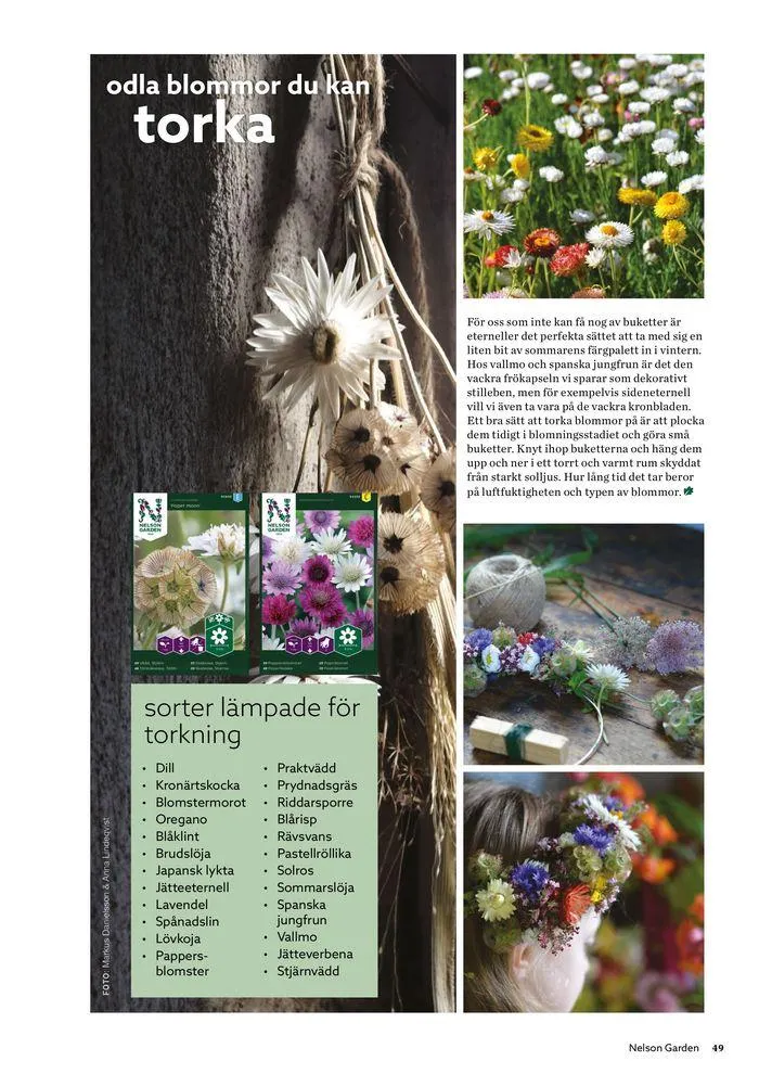 Nelson Gardens frökatalog 2024 är här! från 6 mars till 31 december 2024 - Reklamblad sidor 49