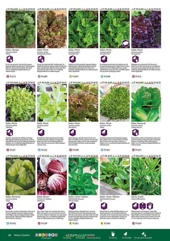 Nelson Gardens frökatalog 2024 är här! från 6 mars till 31 december 2024 - Reklamblad sidor 28