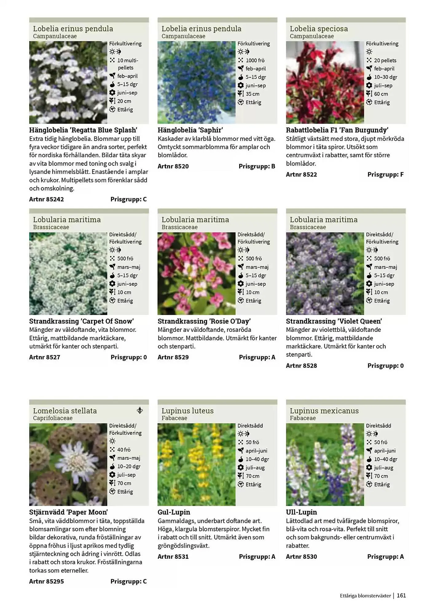 Impecta reklamblad från 23 januari till 31 december 2025 - Reklamblad sidor 161