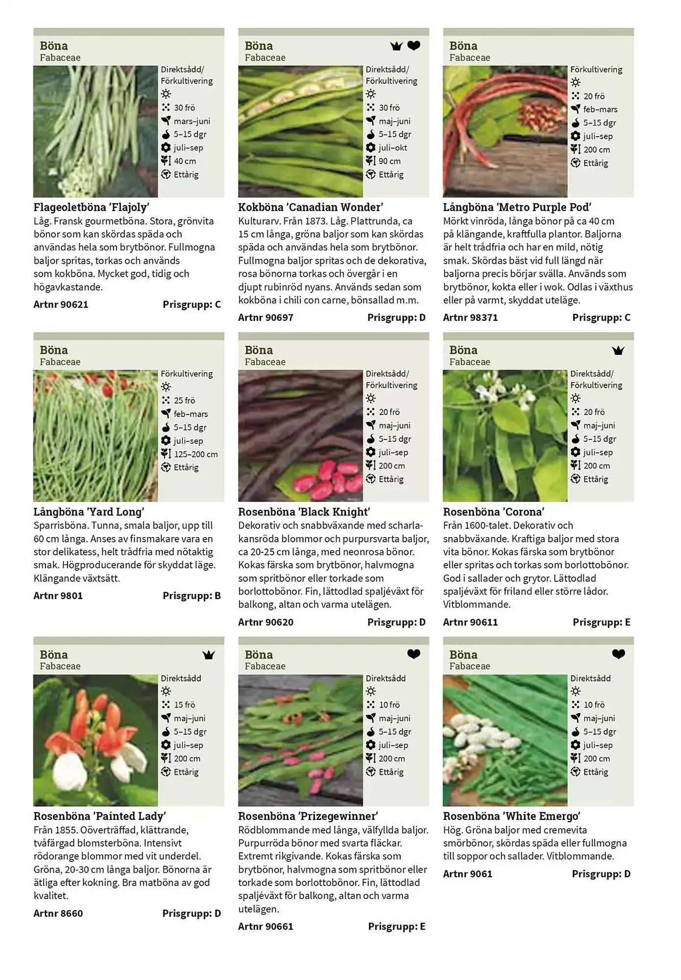 Impecta reklamblad från 23 januari till 31 december 2025 - Reklamblad sidor 18