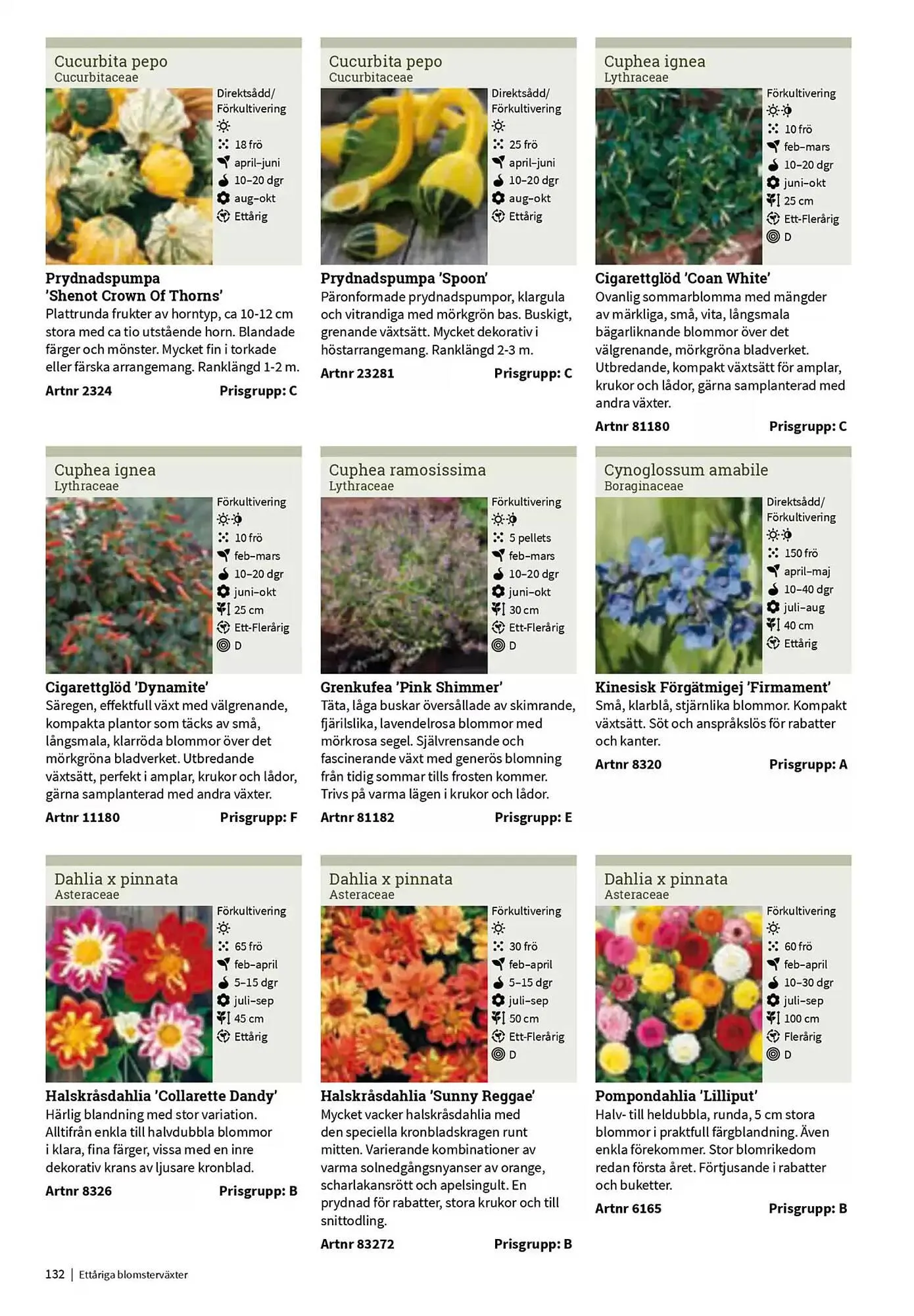 Impecta reklamblad från 23 januari till 31 december 2025 - Reklamblad sidor 132