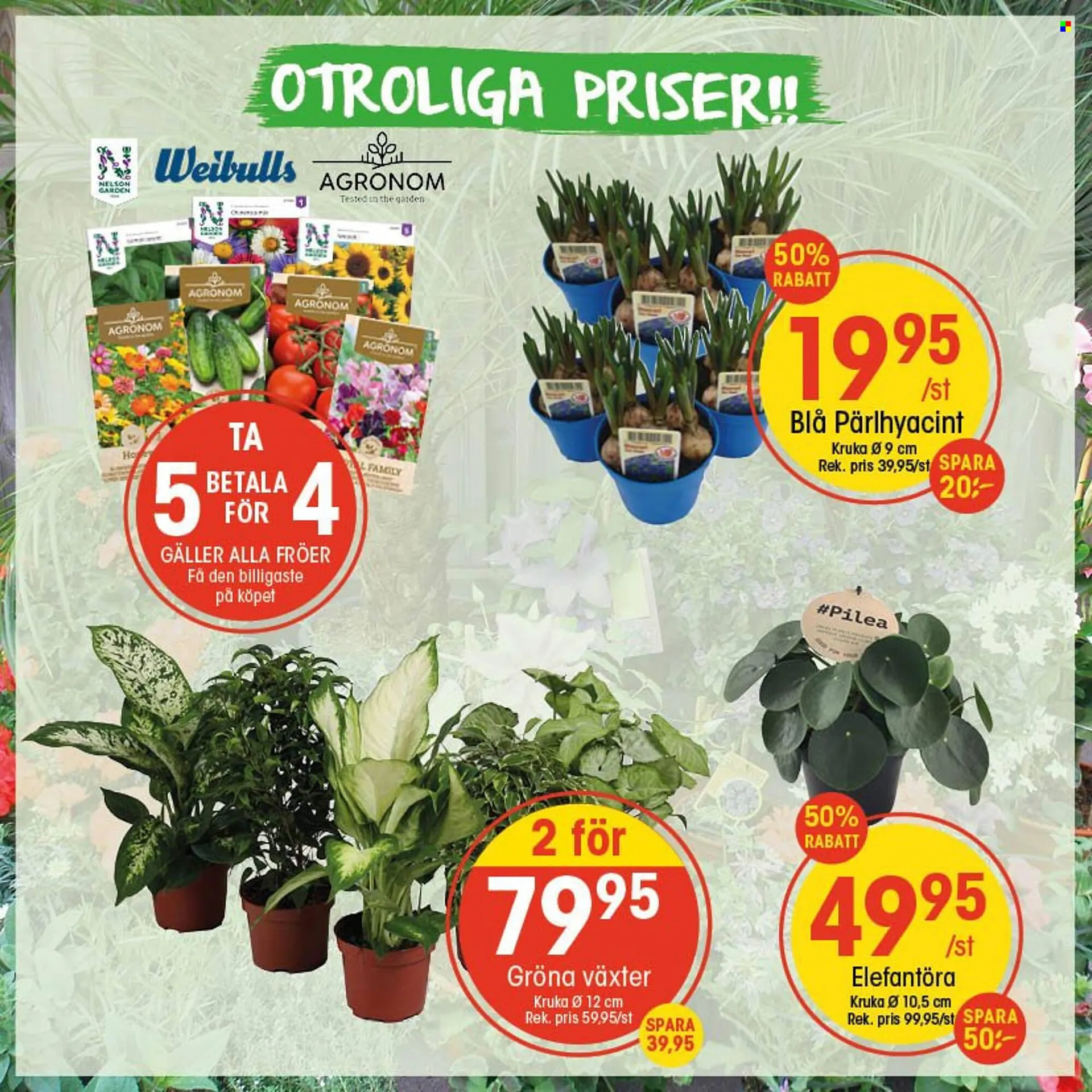 EKO reklamblad från 24 januari till 1 februari 2026 - Reklamblad sidor 2