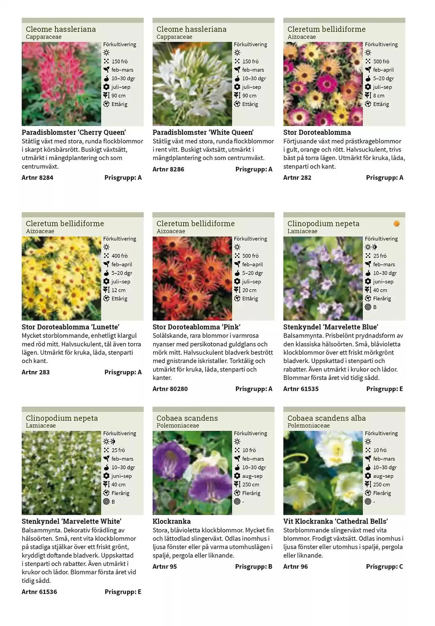 Impecta reklamblad från 23 januari till 31 december 2025 - Reklamblad sidor 126