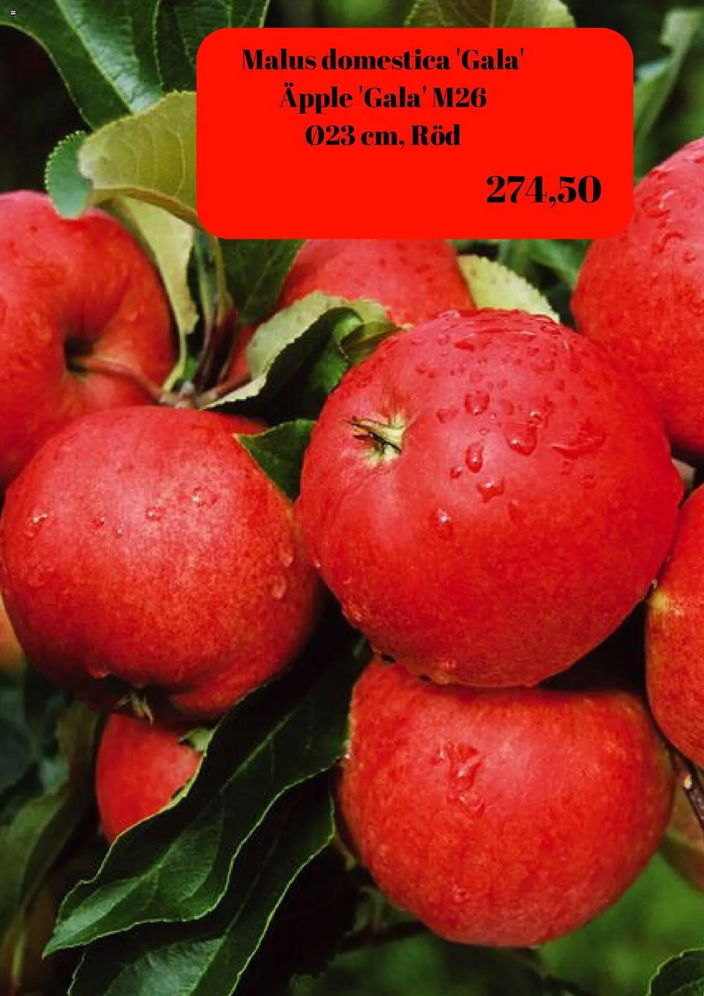 Plantagen reklamblad från 22 september till 5 oktober 2023 - Reklamblad sidor 2