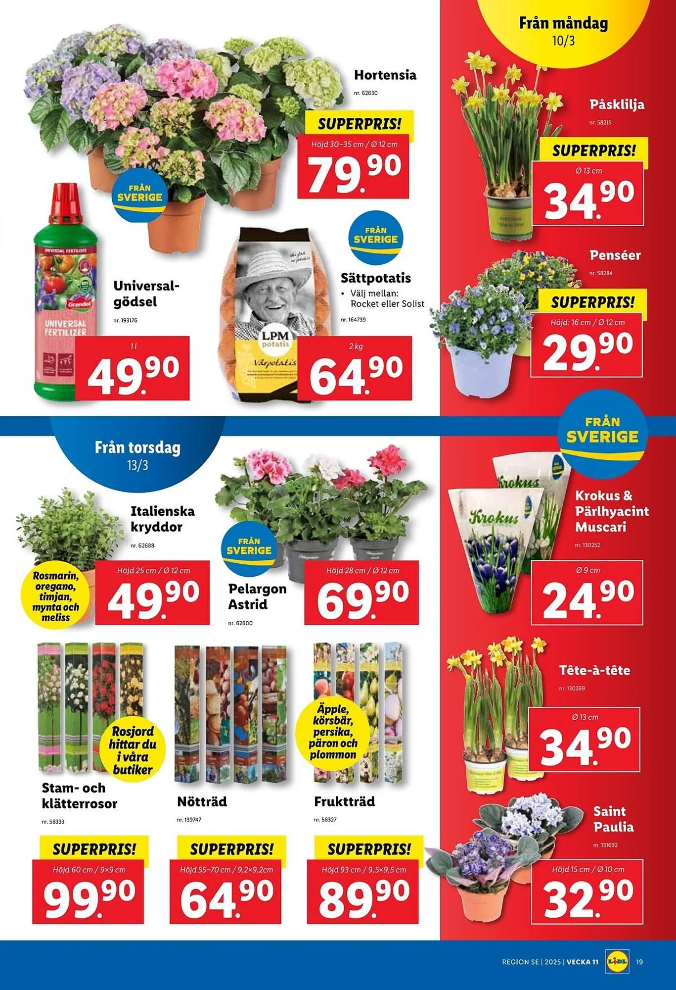 Lidl reklamblad från 10 mars till 16 mars 2025 - Reklamblad sidor 20