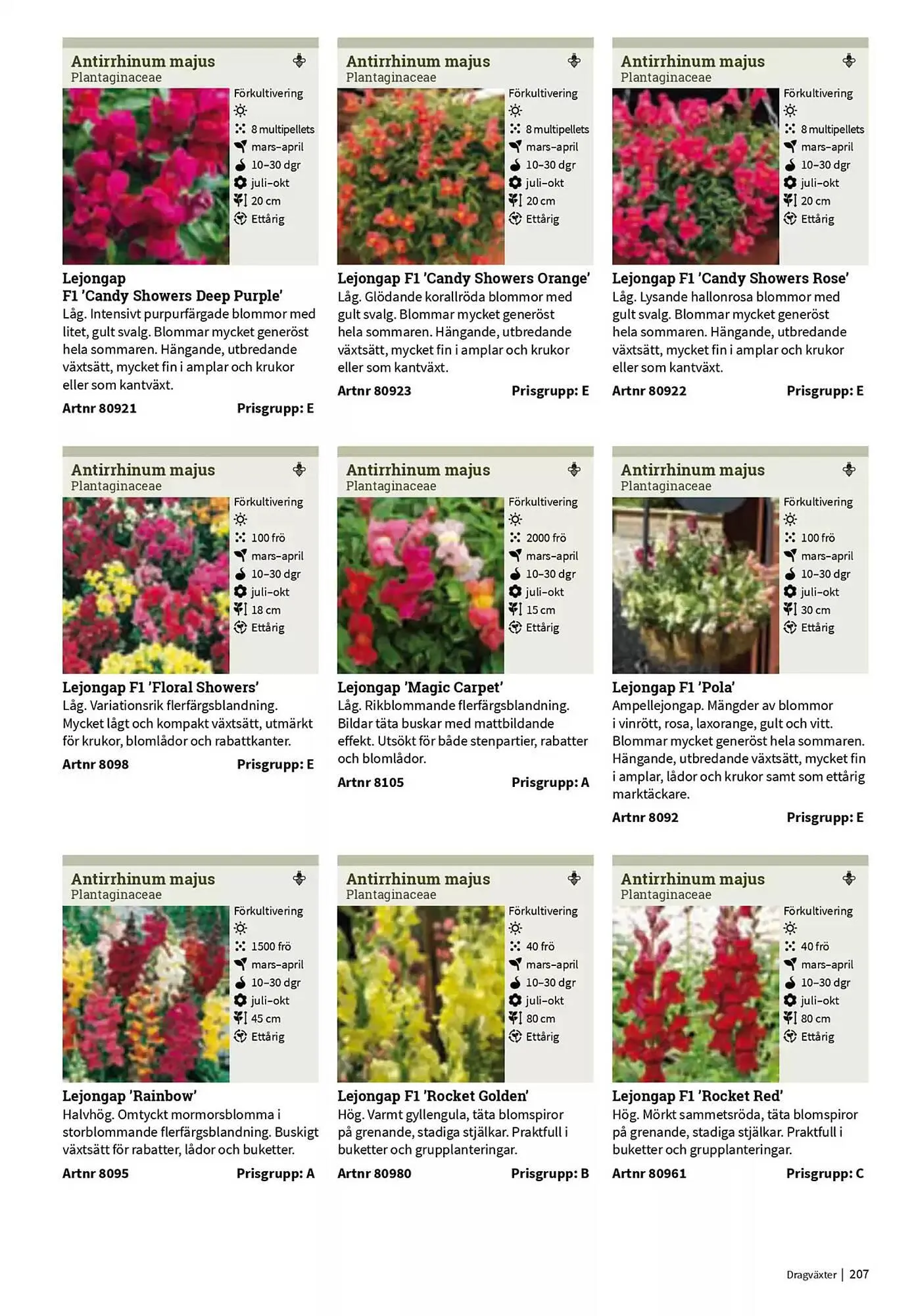 Impecta reklamblad från 23 januari till 31 december 2025 - Reklamblad sidor 207