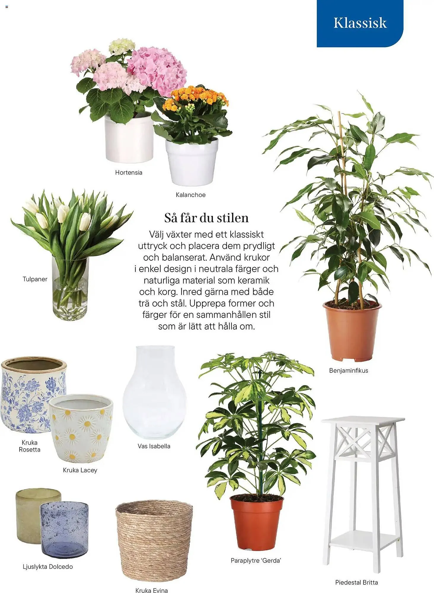 Plantagen annonsblad från 13 januari till 30 juni 2026 - Reklamblad sidor 25