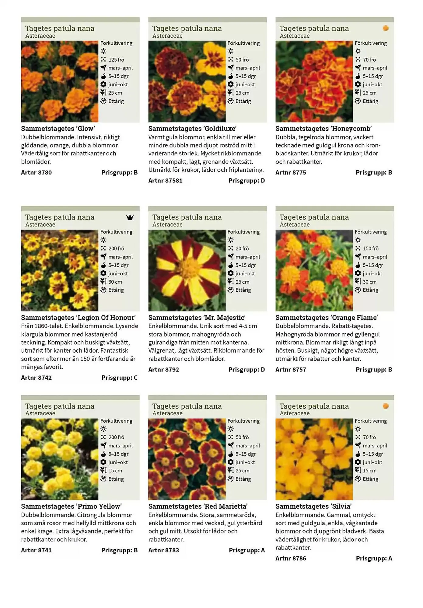 Impecta reklamblad från 23 januari till 31 december 2025 - Reklamblad sidor 190