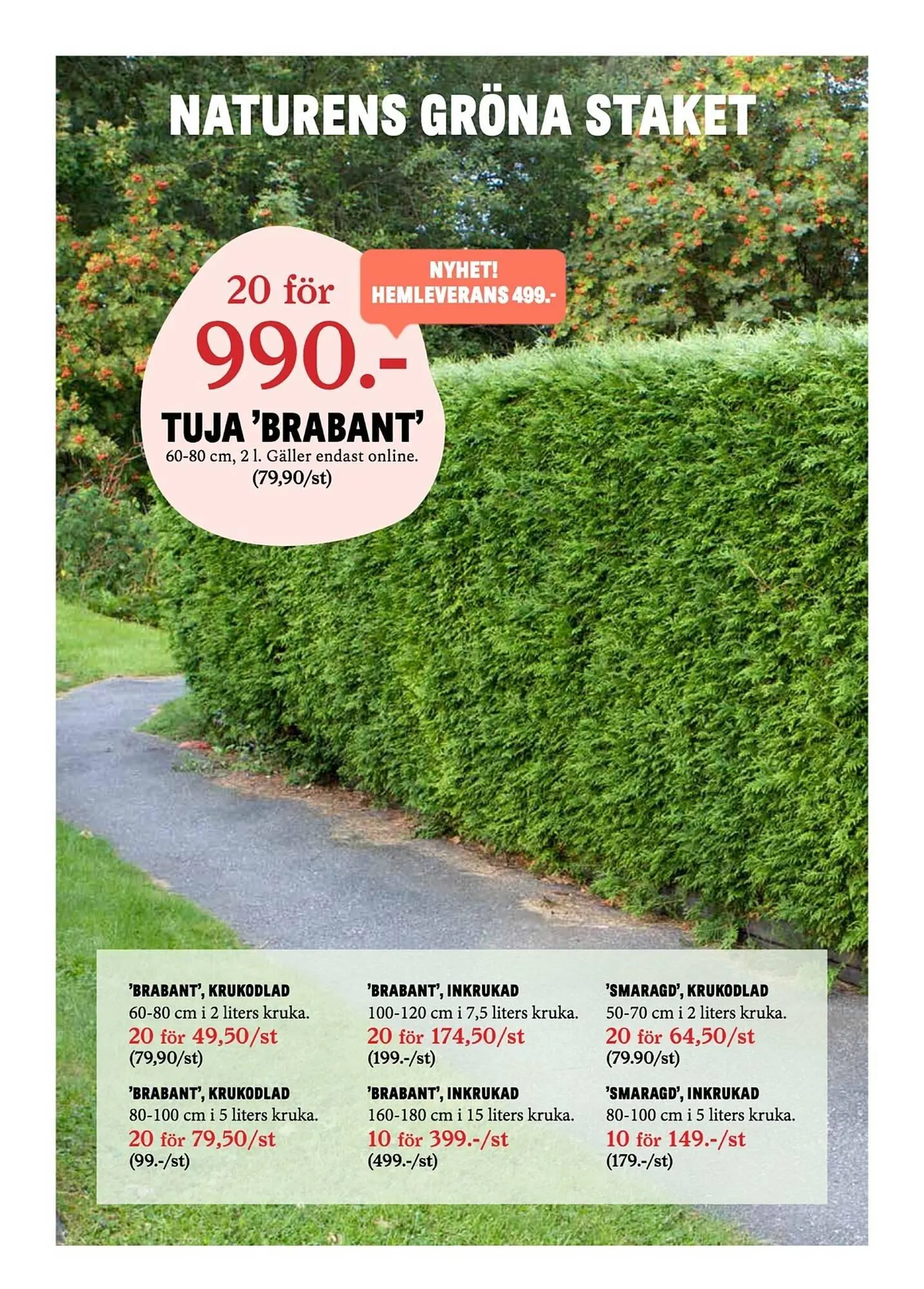 Blomsterlandet reklamblad från 31 mars till 6 april 2025 - Reklamblad sidor 10