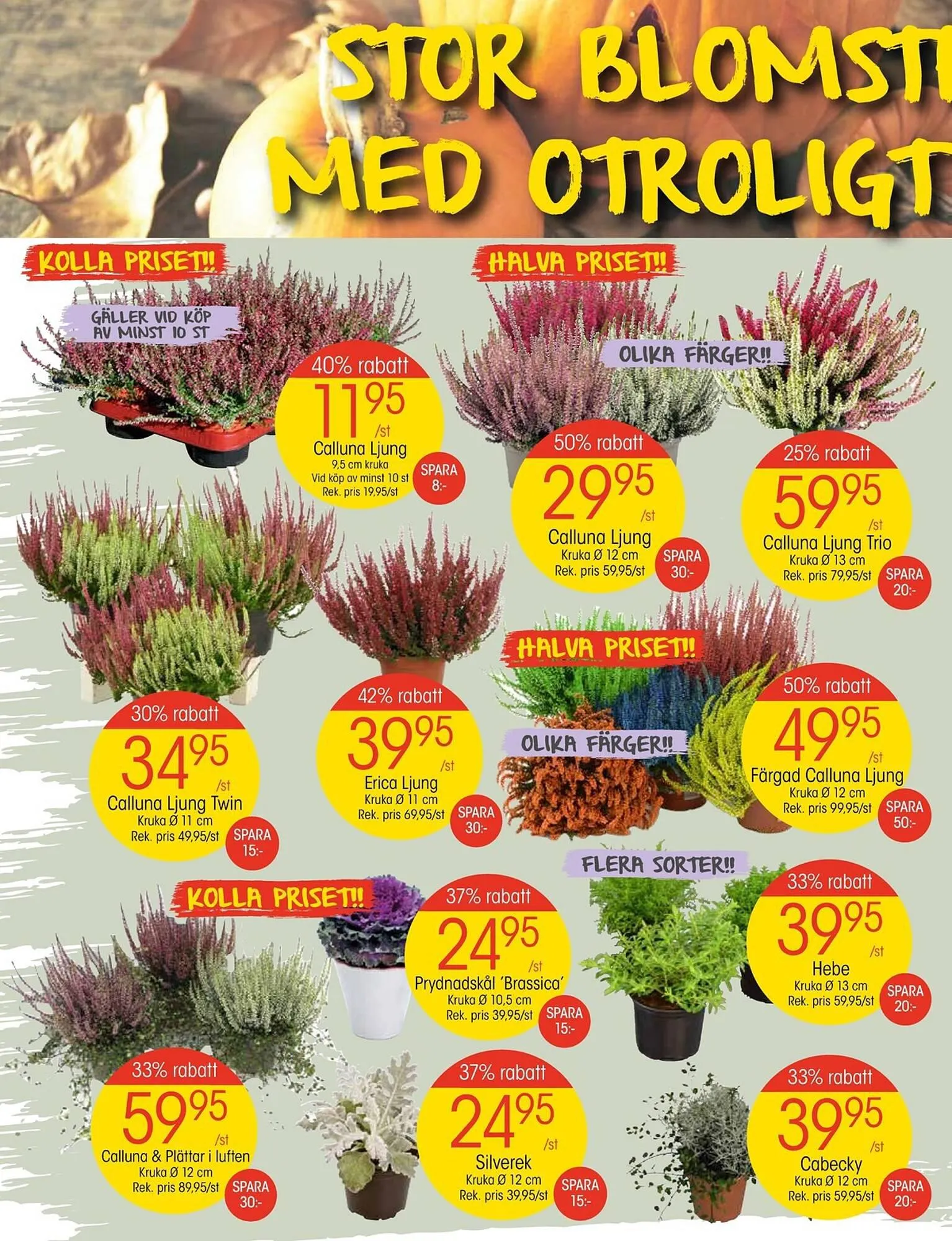 EKO reklamblad från 18 september till 24 september 2023 - Reklamblad sidor 2