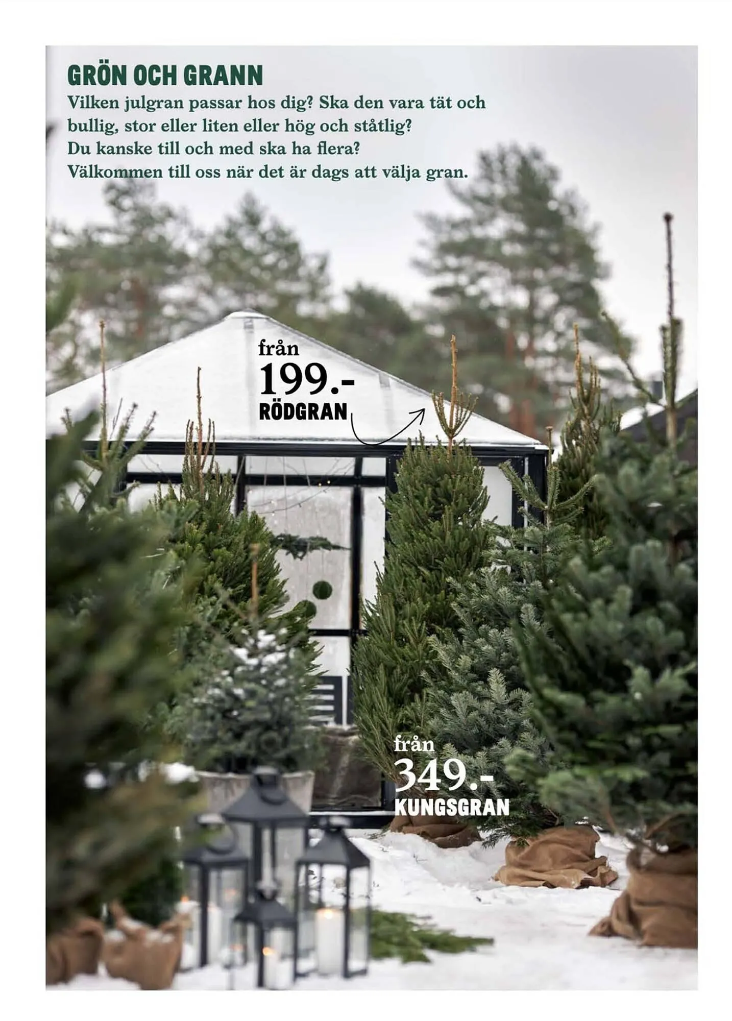 Blomsterlandet reklamblad från 27 november till 3 december 2023 - Reklamblad sidor 6