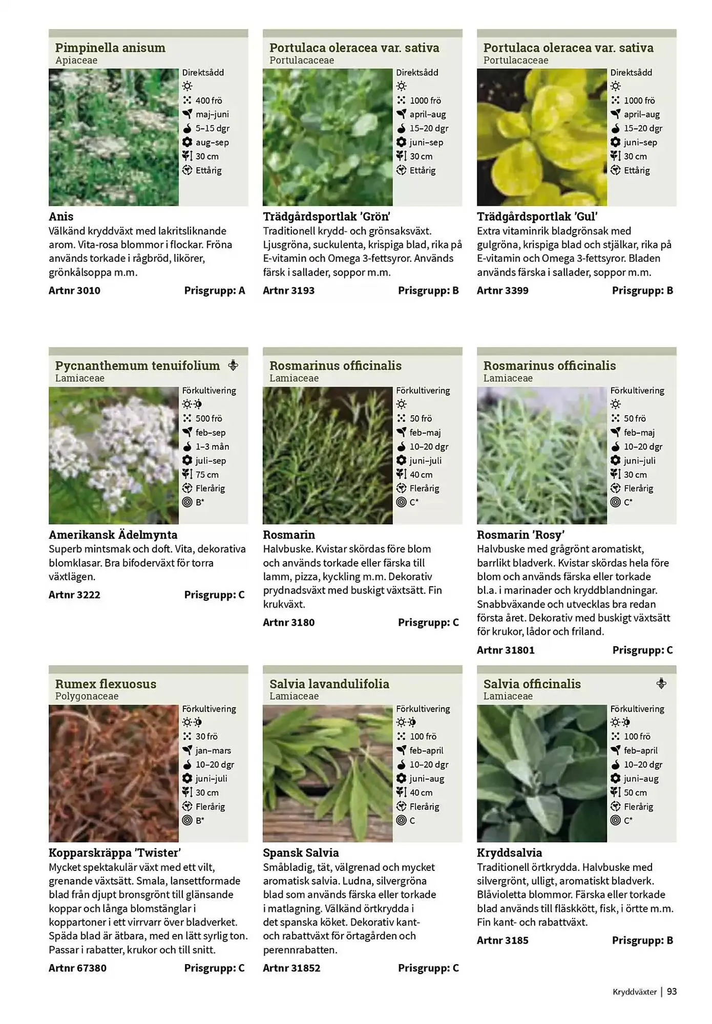 Impecta reklamblad från 23 januari till 31 december 2025 - Reklamblad sidor 93