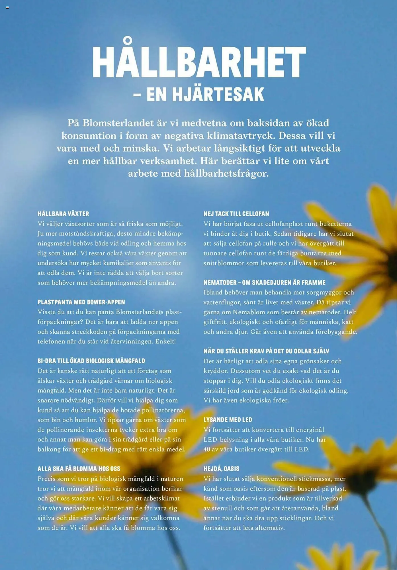 Blomsterlandet reklamblad från 25 september till 1 oktober 2023 - Reklamblad sidor 4
