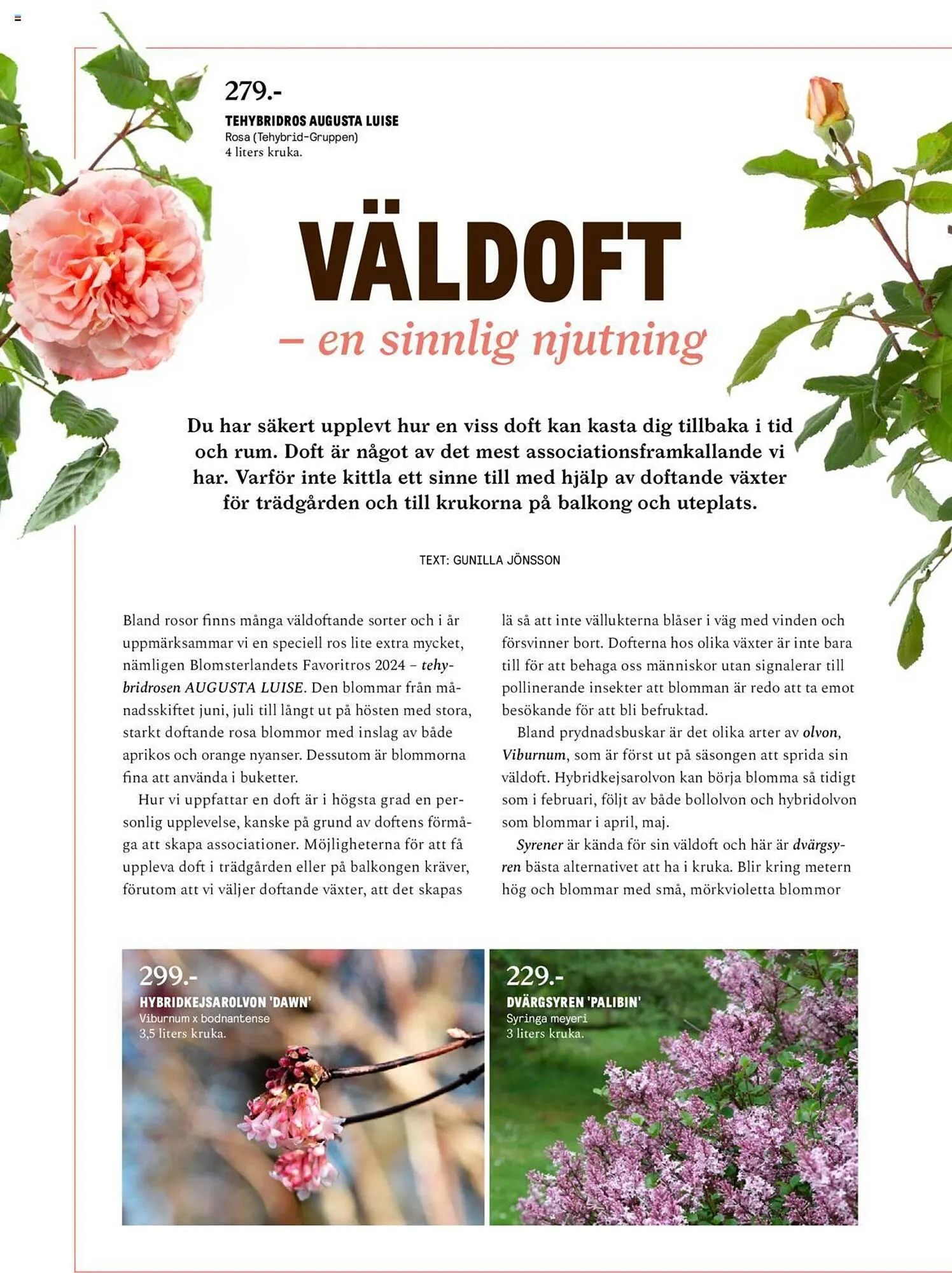 Blomsterlandet reklamblad från 13 maj till 26 maj 2024 - Reklamblad sidor 18