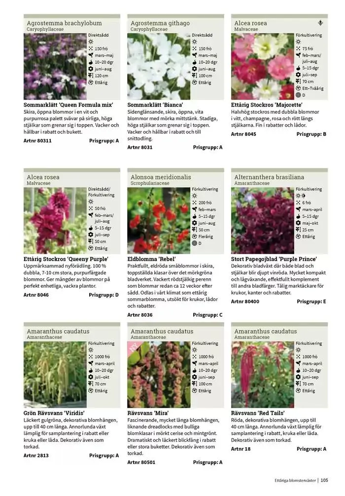 Frökatalog 2025! från 23 januari till 31 december 2025 - Reklamblad sidor 105