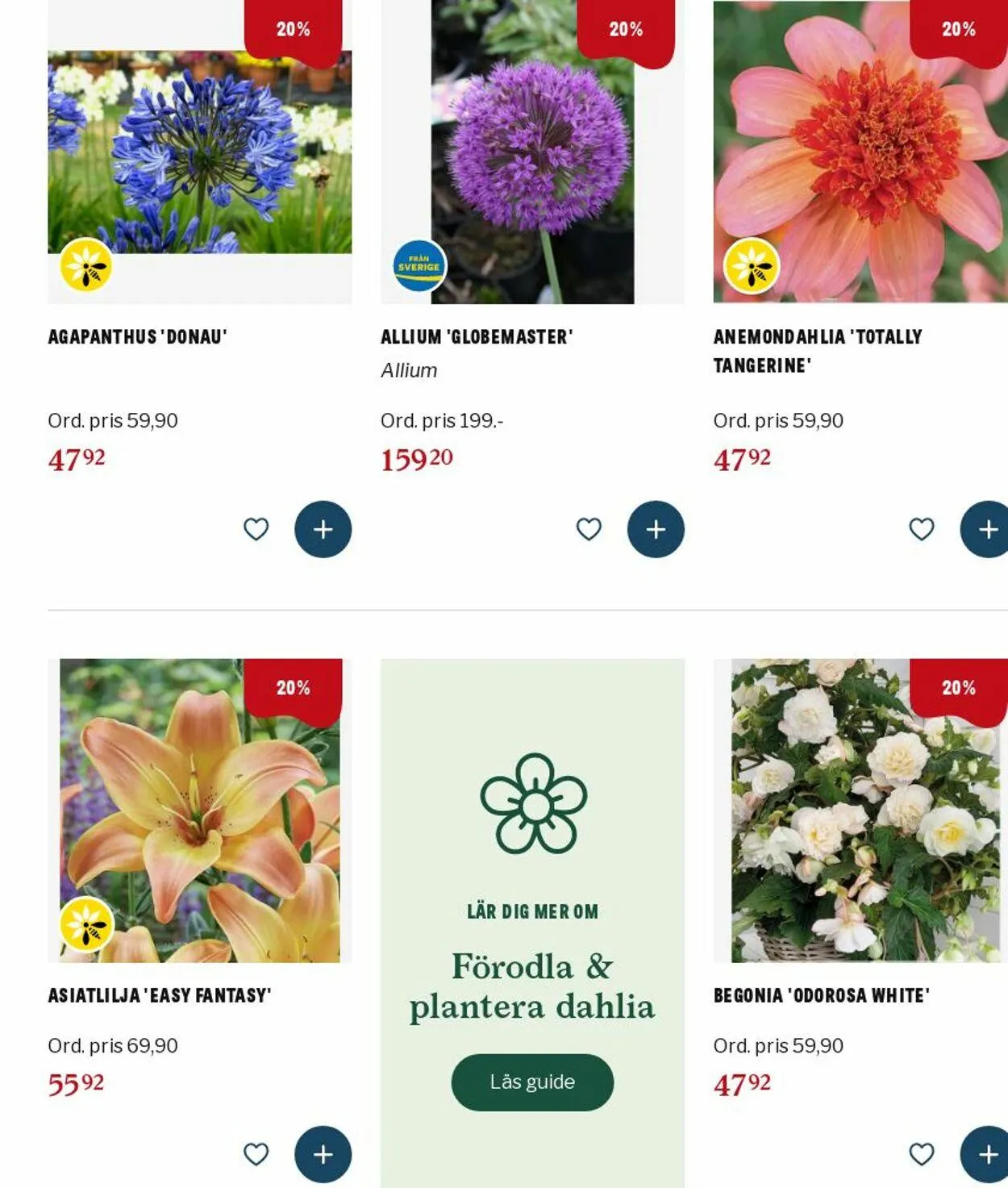 Blomsterlandet - 1