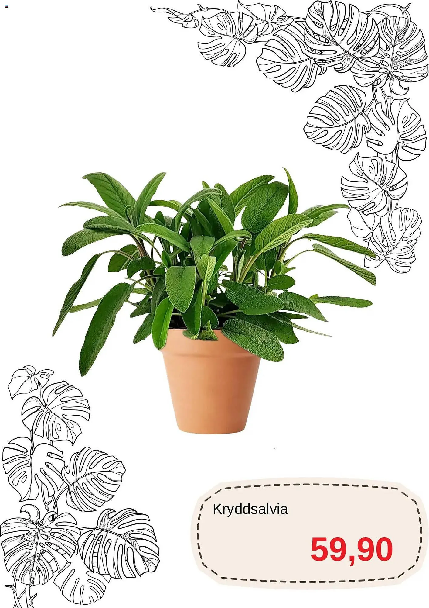 Blomsterlandet reklamblad från 20 april till 31 maj 2026 - Reklamblad sidor 10