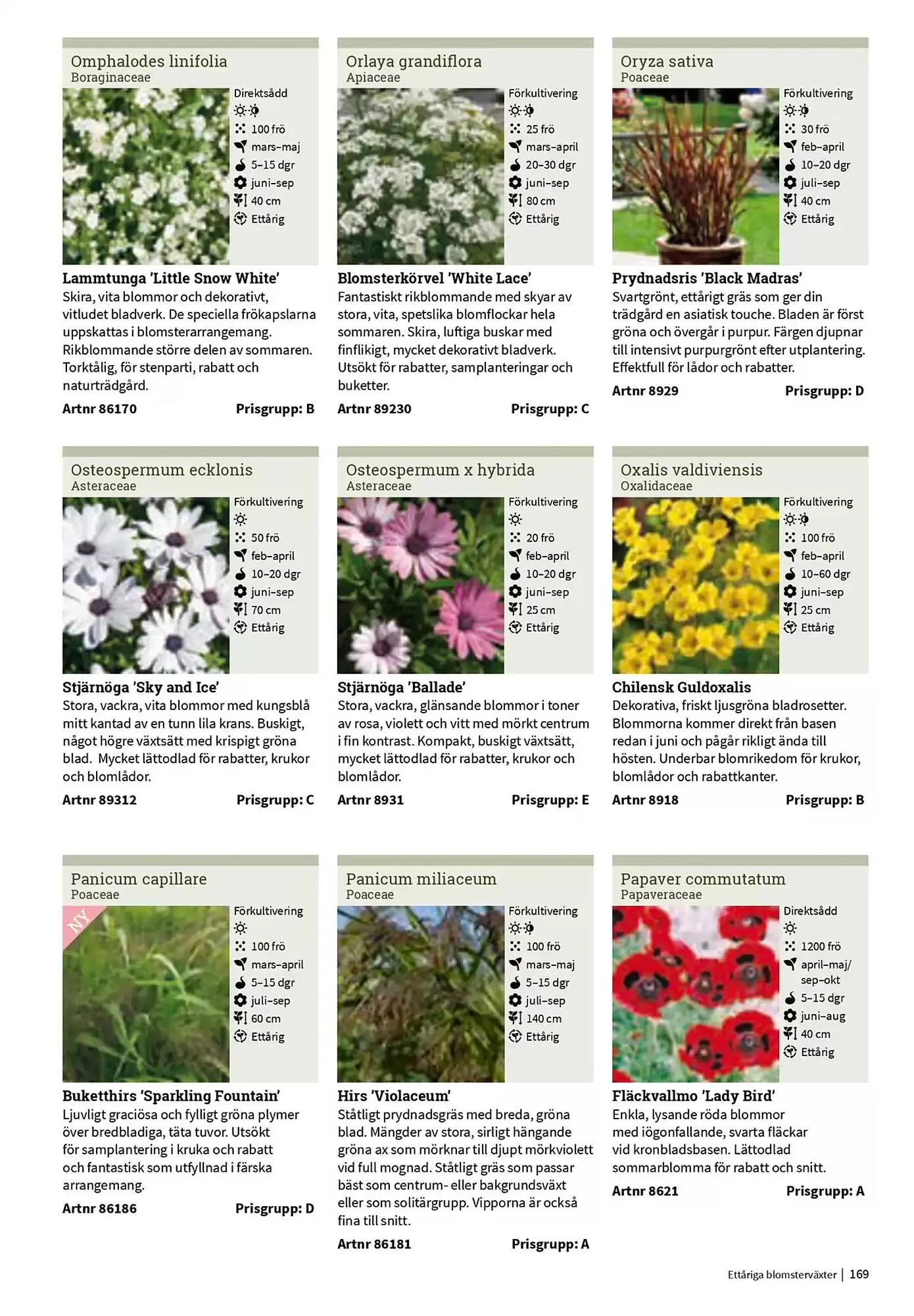 Impecta reklamblad från 23 januari till 31 december 2025 - Reklamblad sidor 169