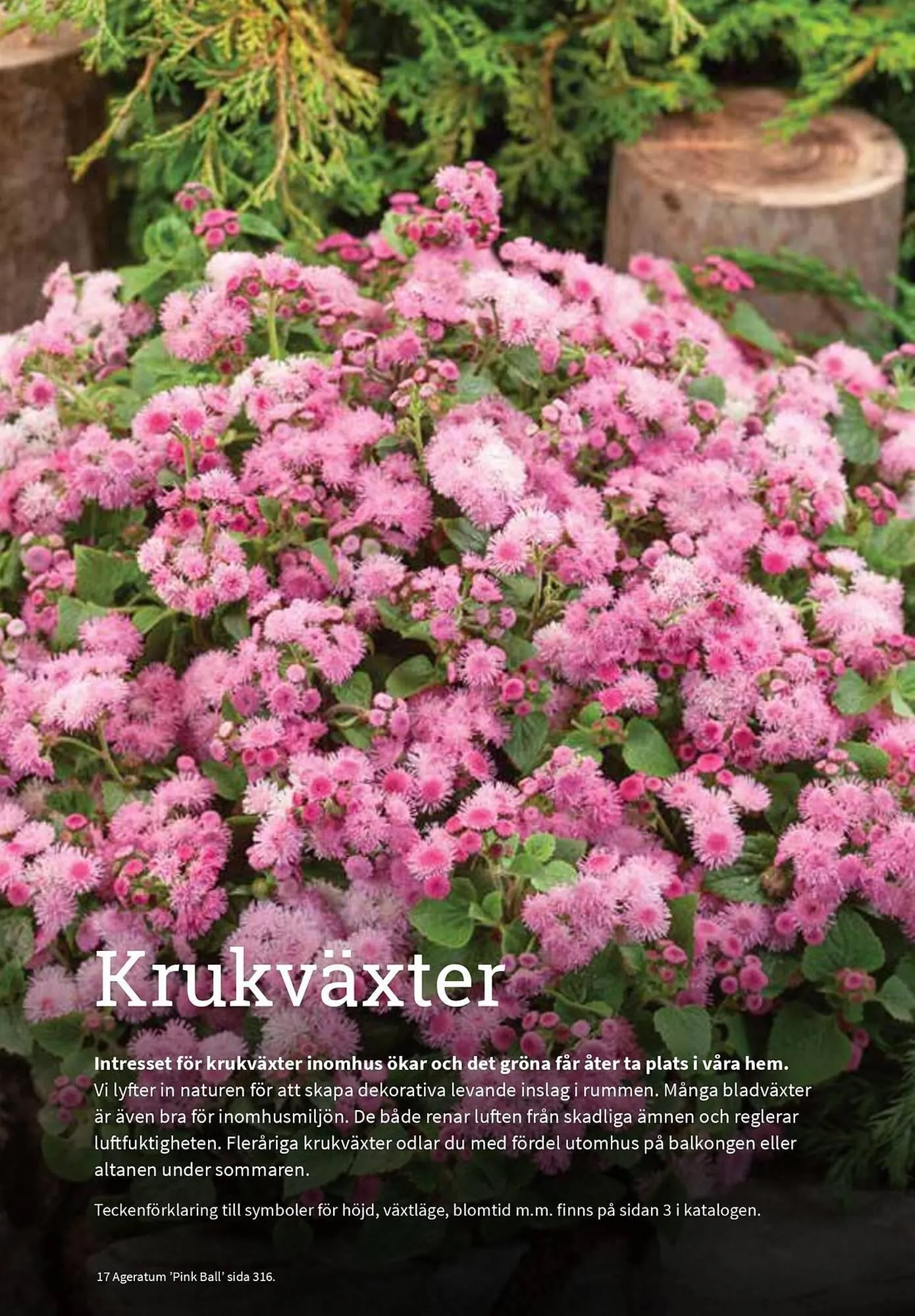 Granngården kampanjblad från 11 september till 31 december 2025 - Reklamblad sidor 315