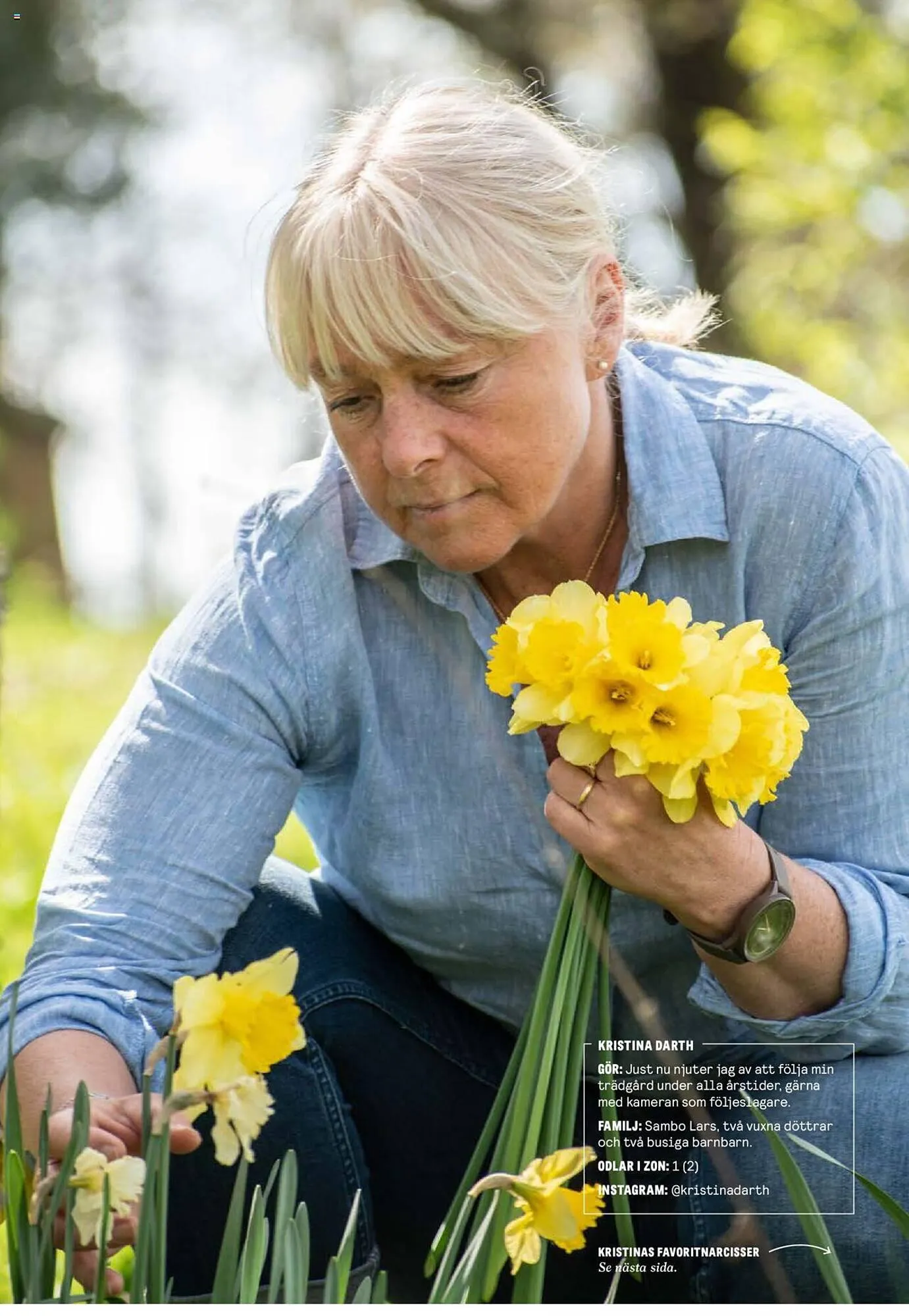 Blomsterlandet reklamblad från 25 september till 1 oktober 2023 - Reklamblad sidor 17
