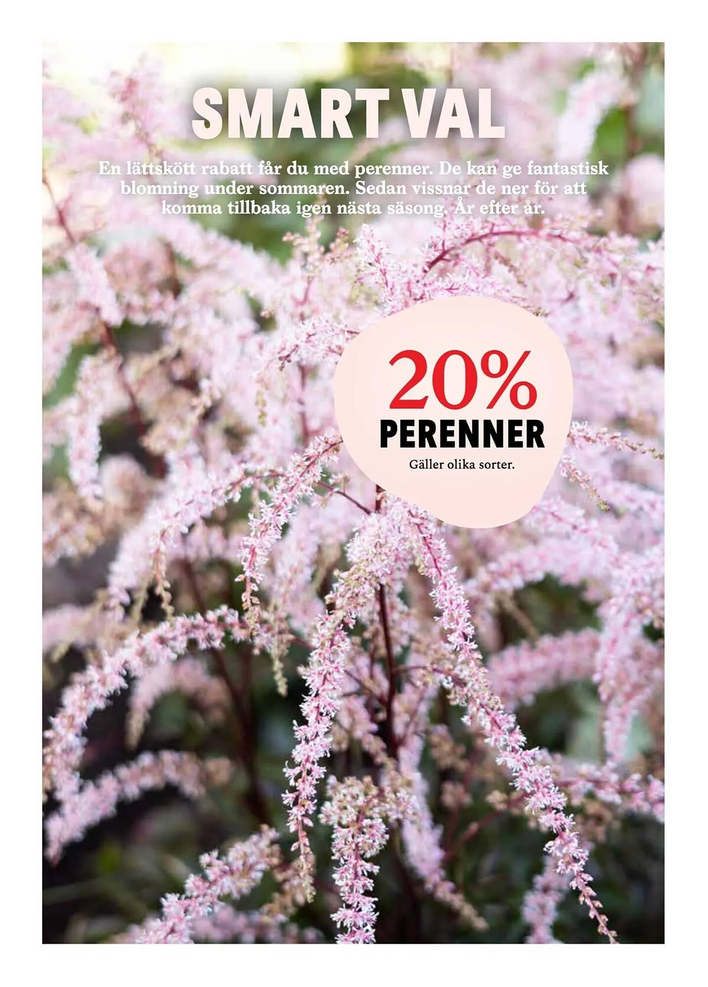 Blomsterlandet reklamblad från 26 maj till 1 juni 2025 - Reklamblad sidor 8