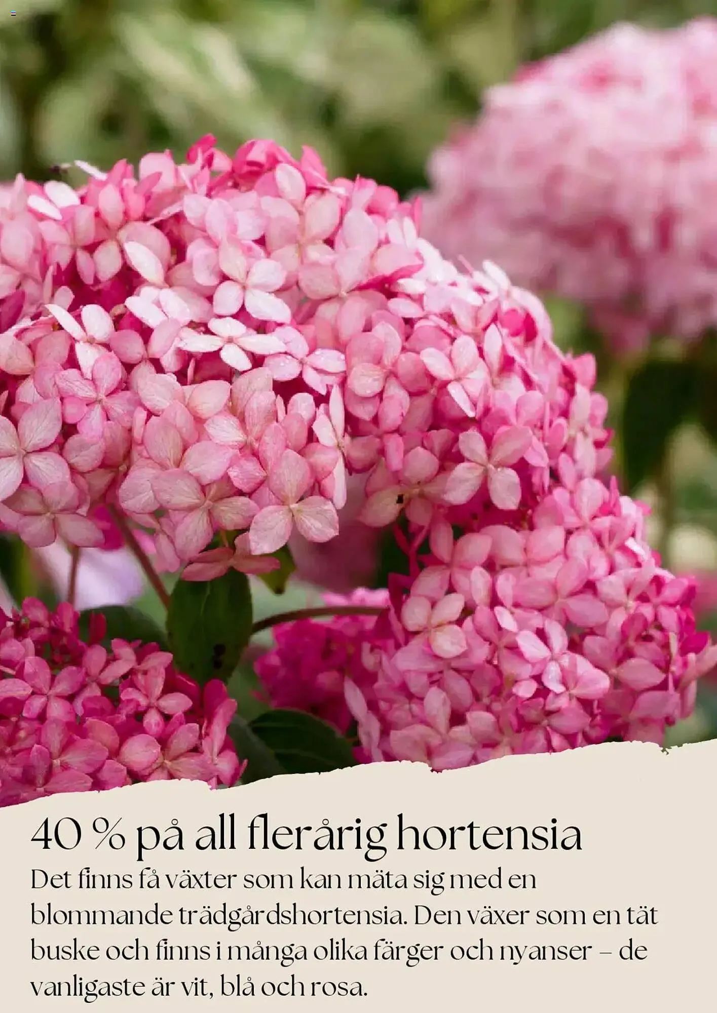 Plantagen reklamblad från 1 juni till 30 juni 2025 - Reklamblad sidor 4