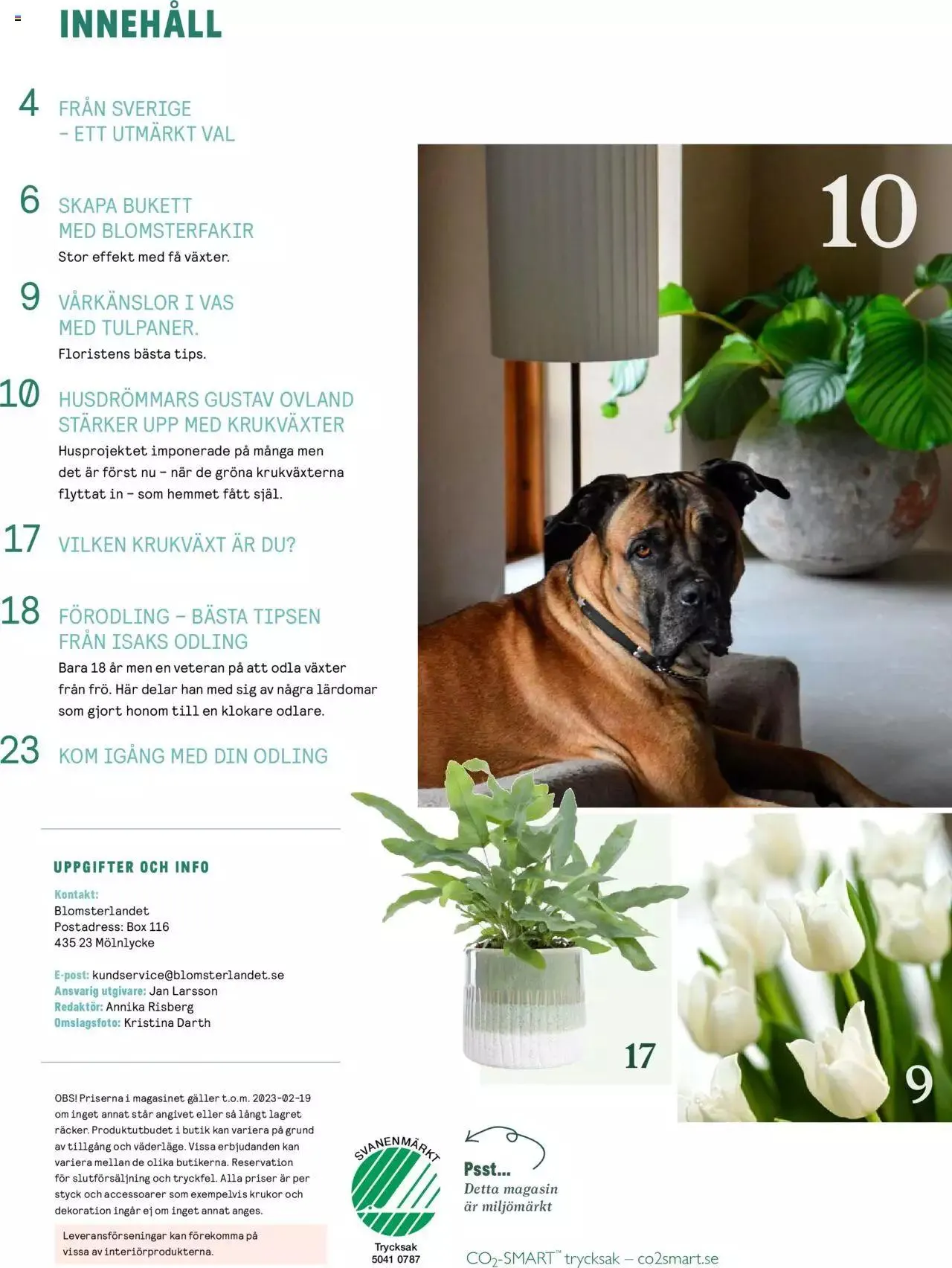 Blomsterlandet - Grönska #1 från 6 februari till 31 december 2023 - Reklamblad sidor 2