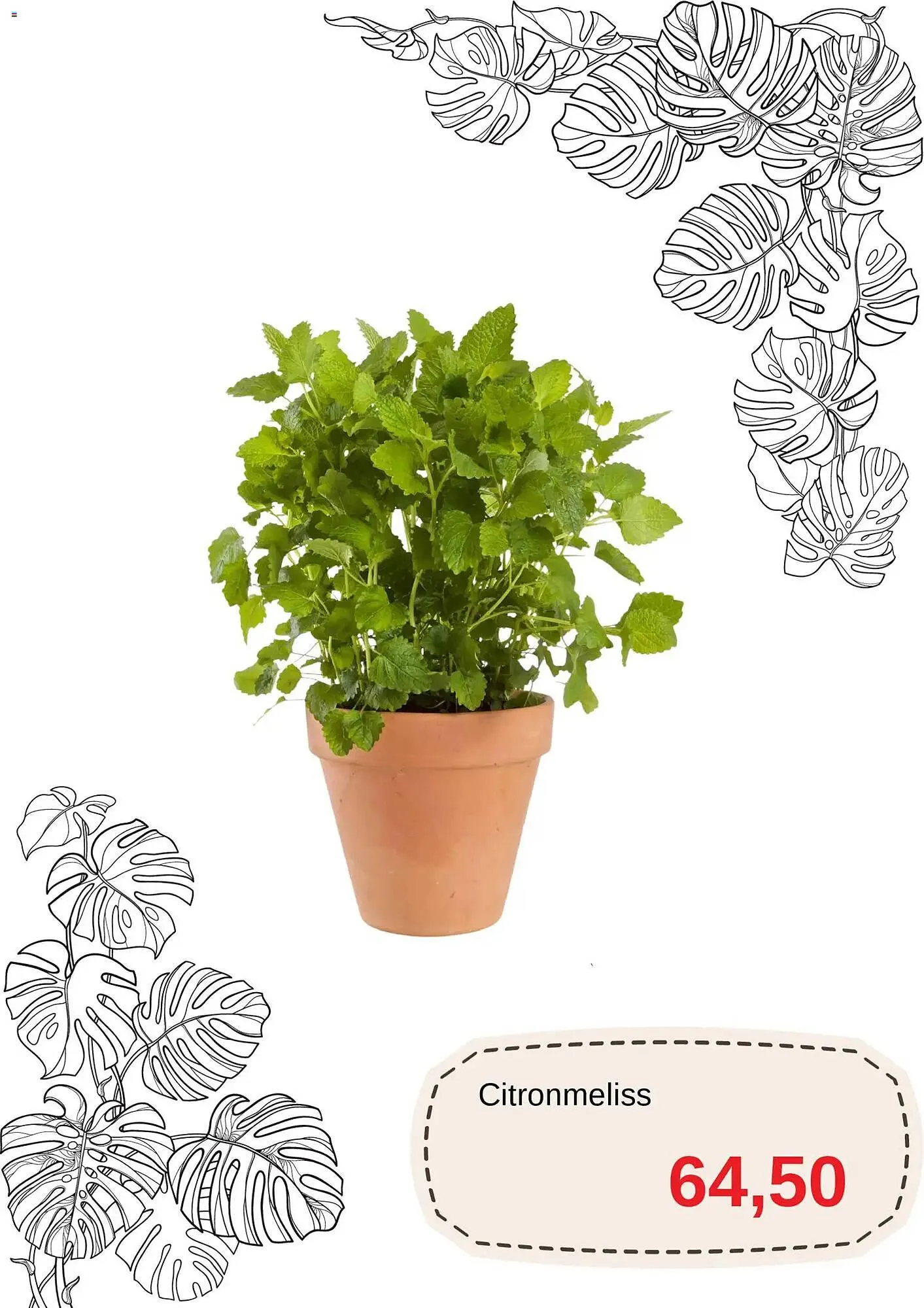 Blomsterlandet reklamblad från 20 april till 31 maj 2026 - Reklamblad sidor 8