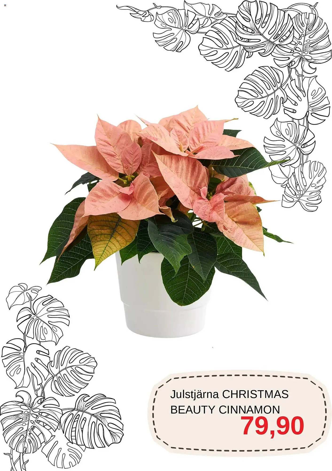 Blomsterlandet reklamblad från 1 december till 31 december 2025 - Reklamblad sidor 4