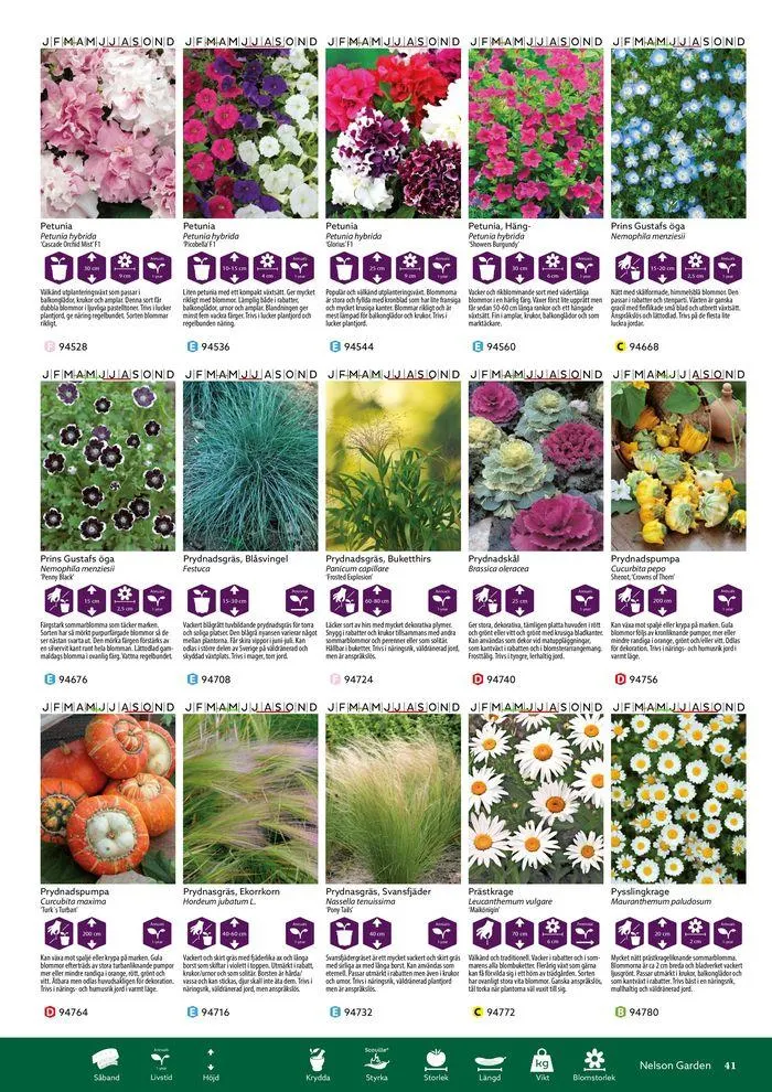 Nelson Gardens frökatalog 2024 är här! från 6 mars till 31 december 2024 - Reklamblad sidor 41