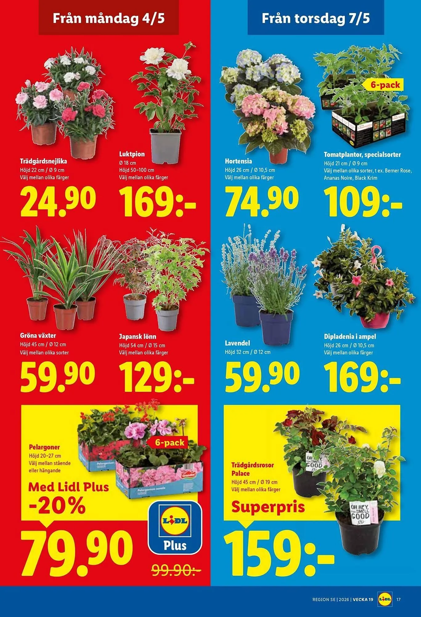 Lidl reklamblad från 4 maj till 10 maj 2026 - Reklamblad sidor 19