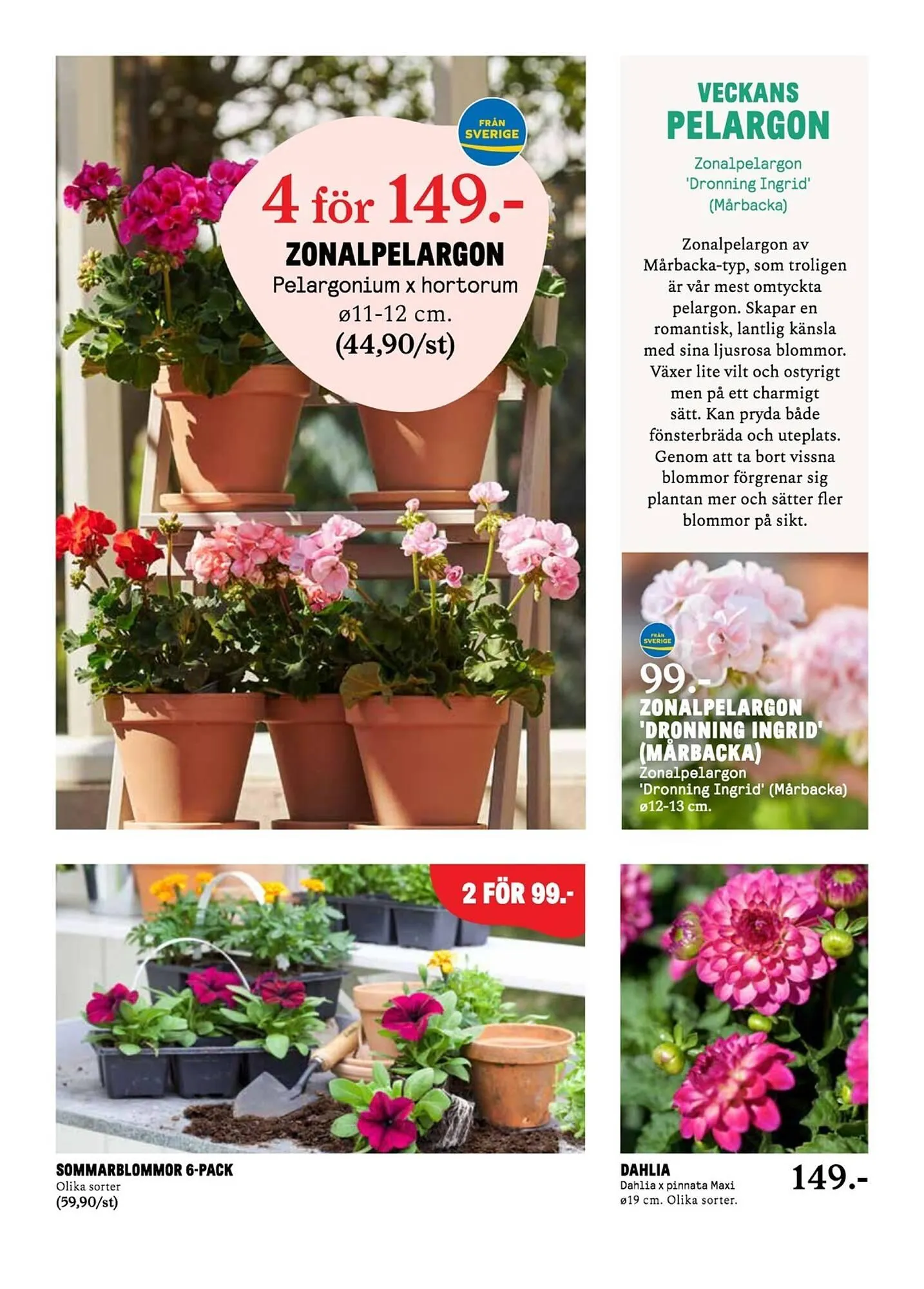 Blomsterlandet reklamblad från 12 maj till 18 maj 2025 - Reklamblad sidor 3