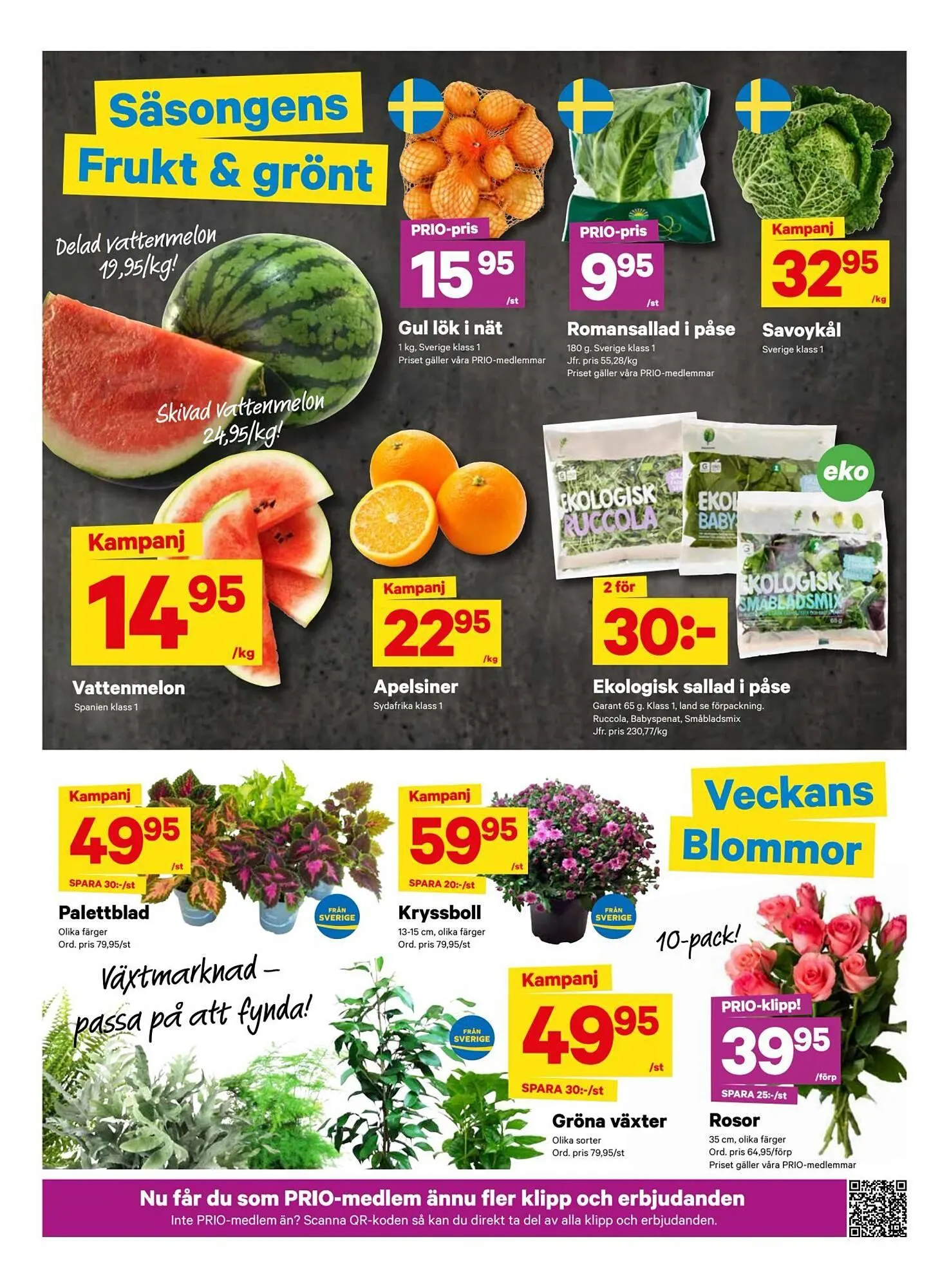 City Gross reklamblad från 18 augusti till 25 augusti 2024 - Reklamblad sidor 3