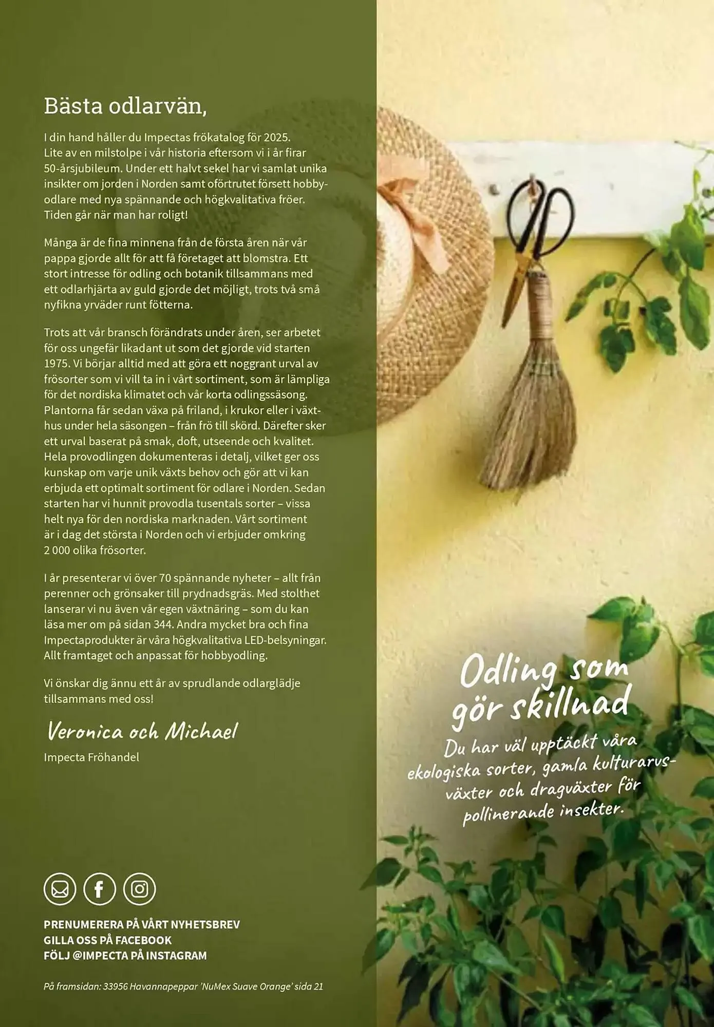 Impecta reklamblad från 23 januari till 31 december 2025 - Reklamblad sidor 2