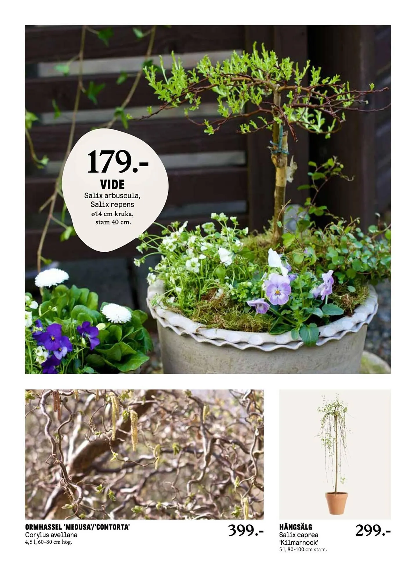 Blomsterlandet reklamblad från 31 mars till 6 april 2025 - Reklamblad sidor 8