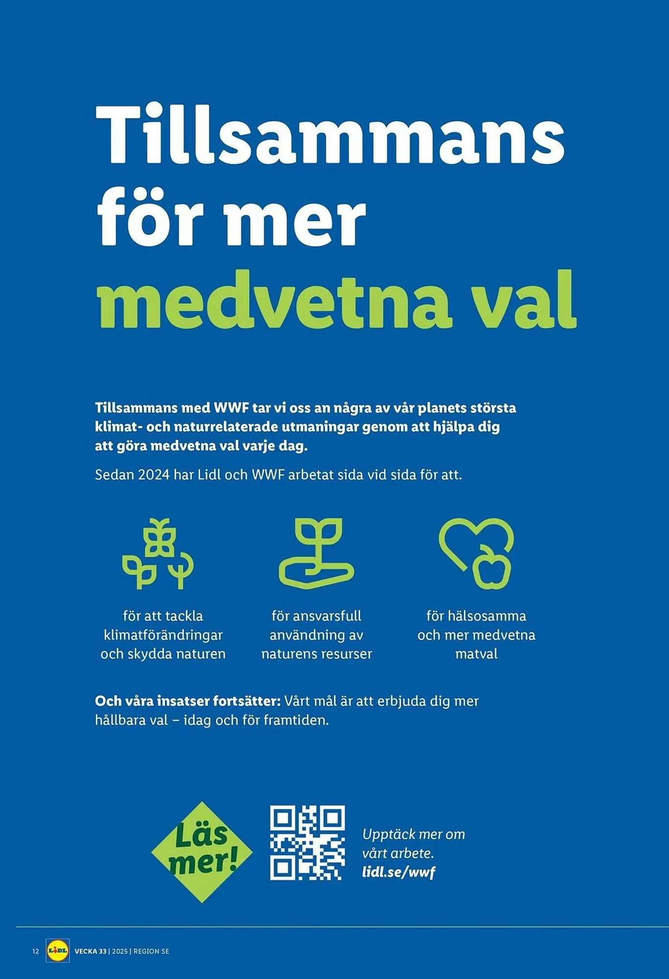 Lidl reklamblad från 11 augusti till 17 augusti 2025 - Reklamblad sidor 15