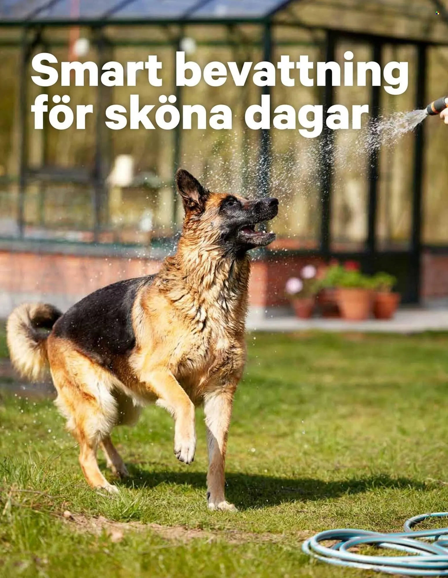 City Gross reklamblad från 9 juni till 15 juni 2025 - Reklamblad sidor 21