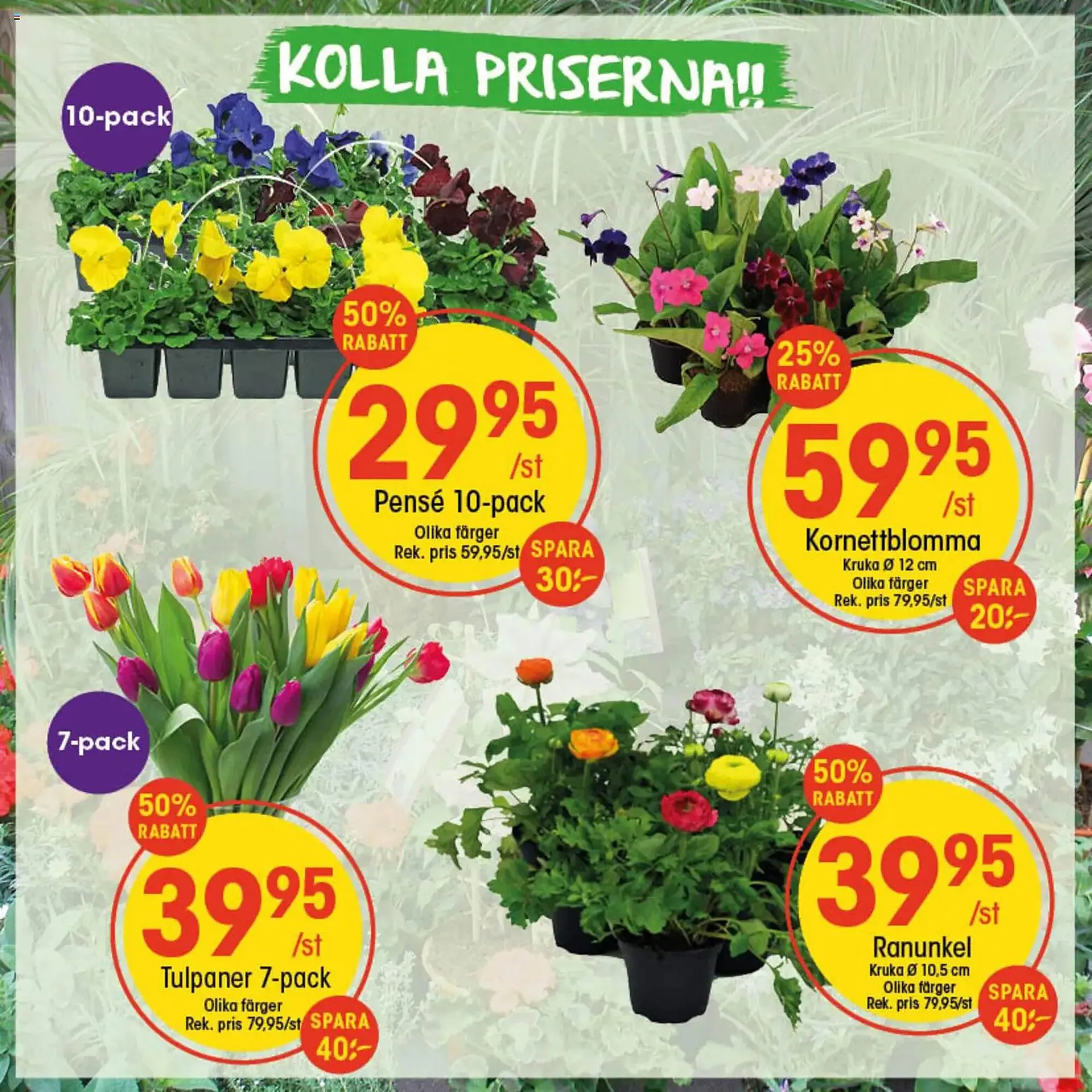 EKO reklamblad från 16 februari till 22 februari 2026 - Reklamblad sidor 5