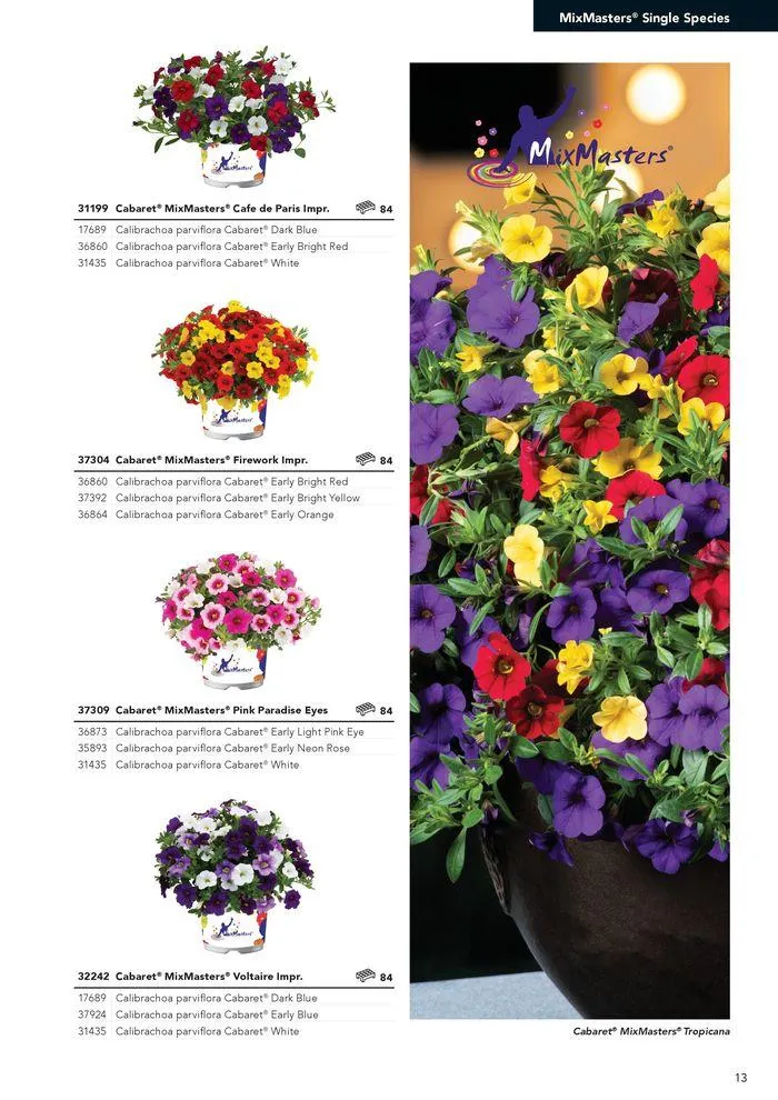 Annuals 2024 . från 15 februari till 31 december 2024 - Reklamblad sidor 17