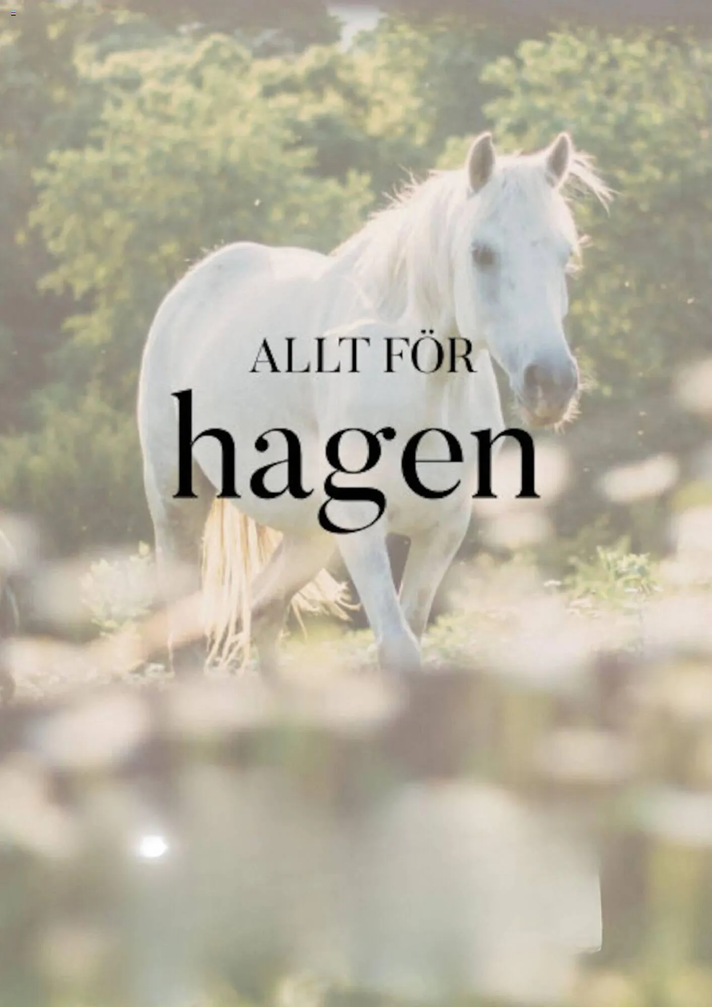 Hööks reklamblad från 26 april till 9 maj 2024 - Reklamblad sidor 8
