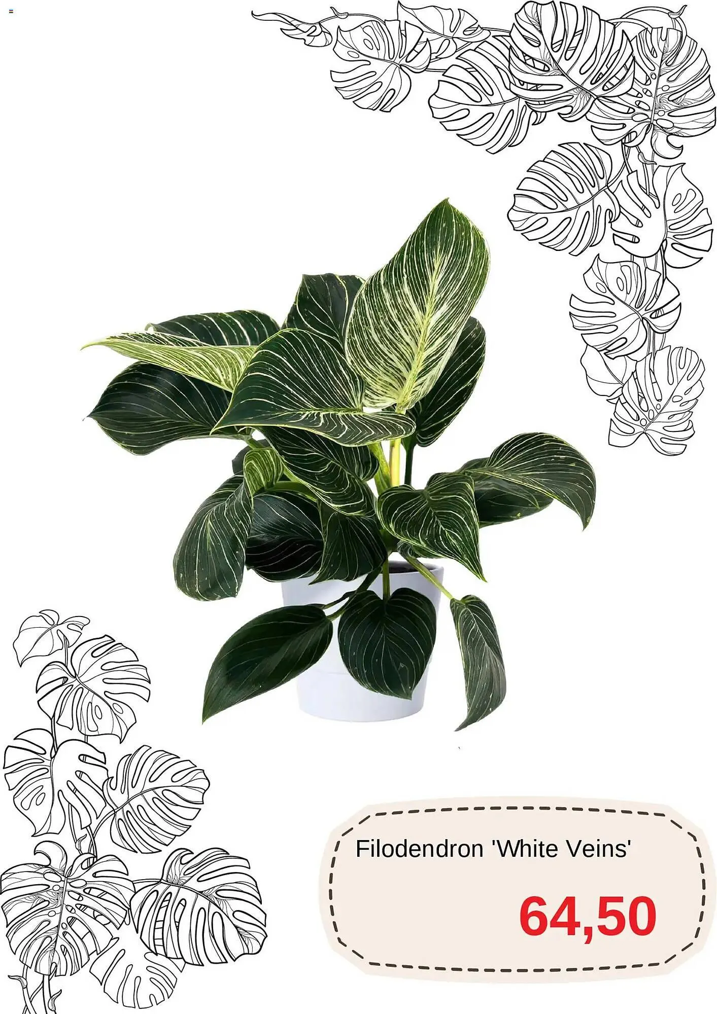 Blomsterlandet reklamblad från 15 januari till 26 januari 2026 - Reklamblad sidor 10