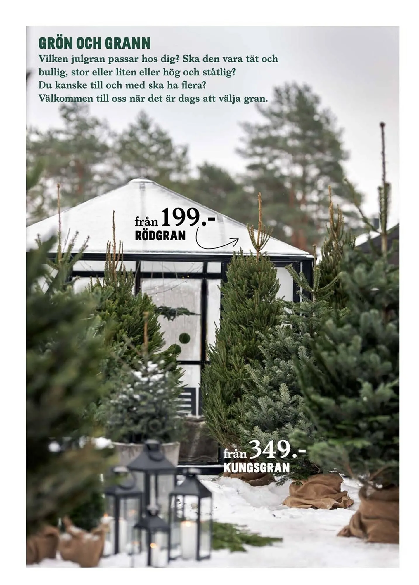 Blomsterlandet reklamblad från 20 november till 26 november 2023 - Reklamblad sidor 8