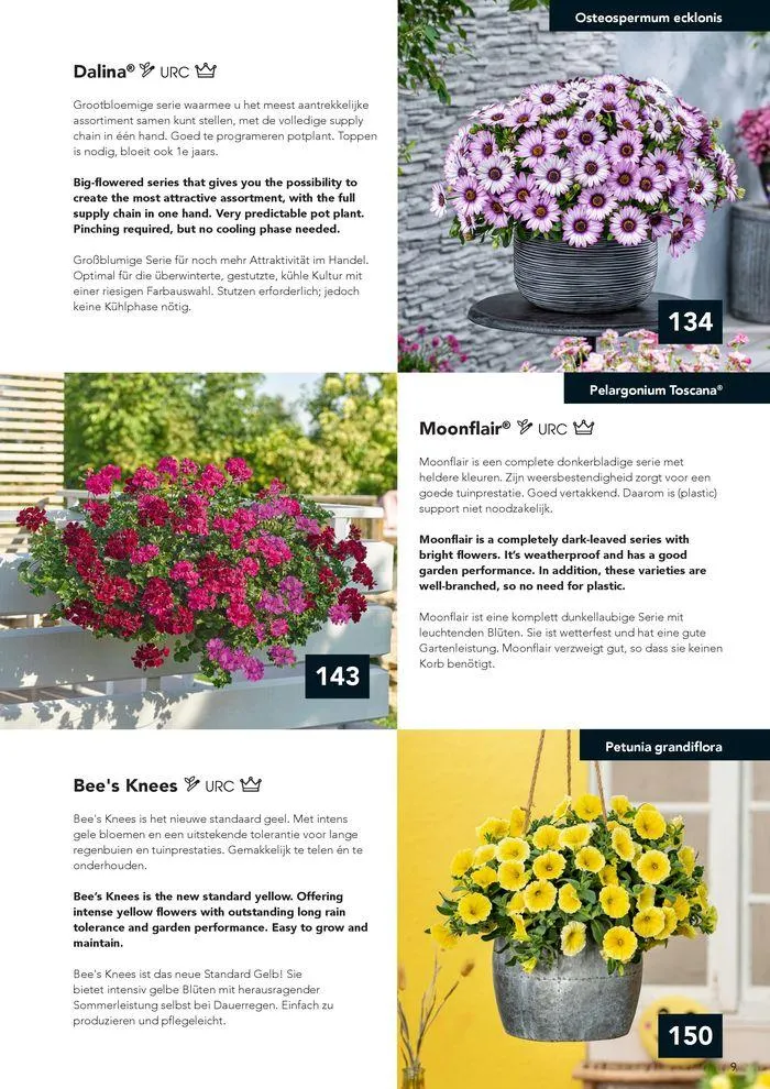 Annuals 2024 . från 15 februari till 31 december 2024 - Reklamblad sidor 13